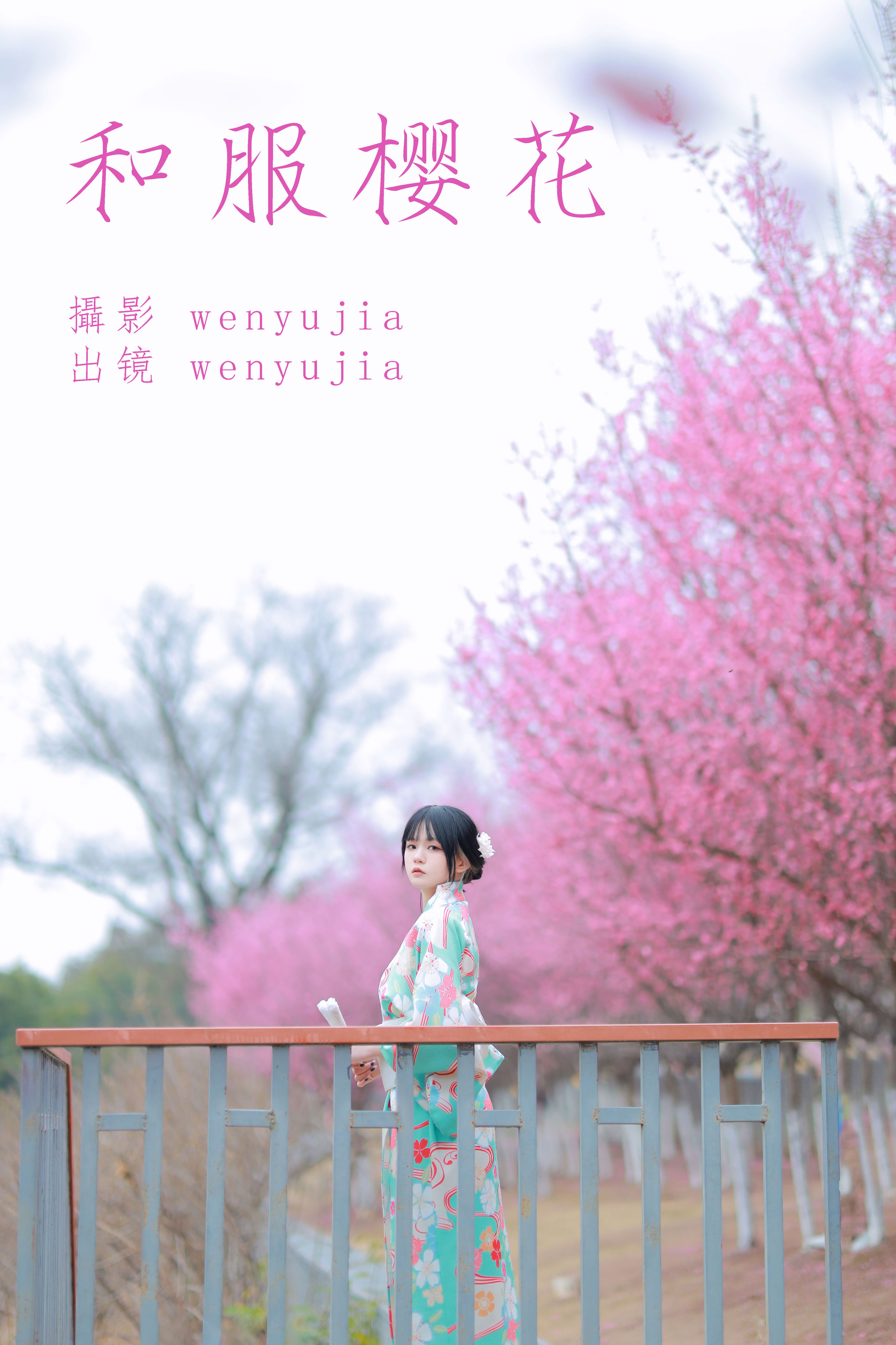 wenyujia《和服樱花》美图作品图片1