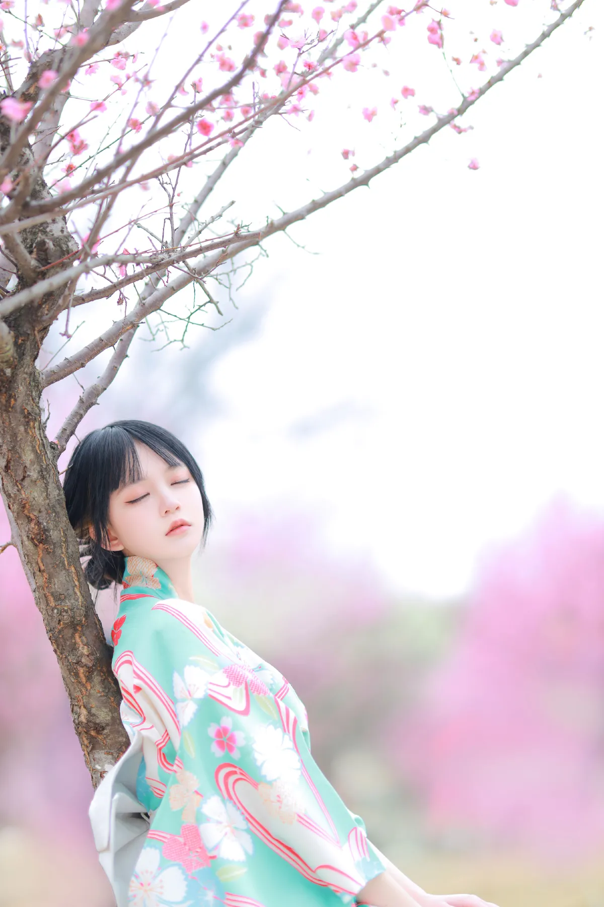 和服樱花