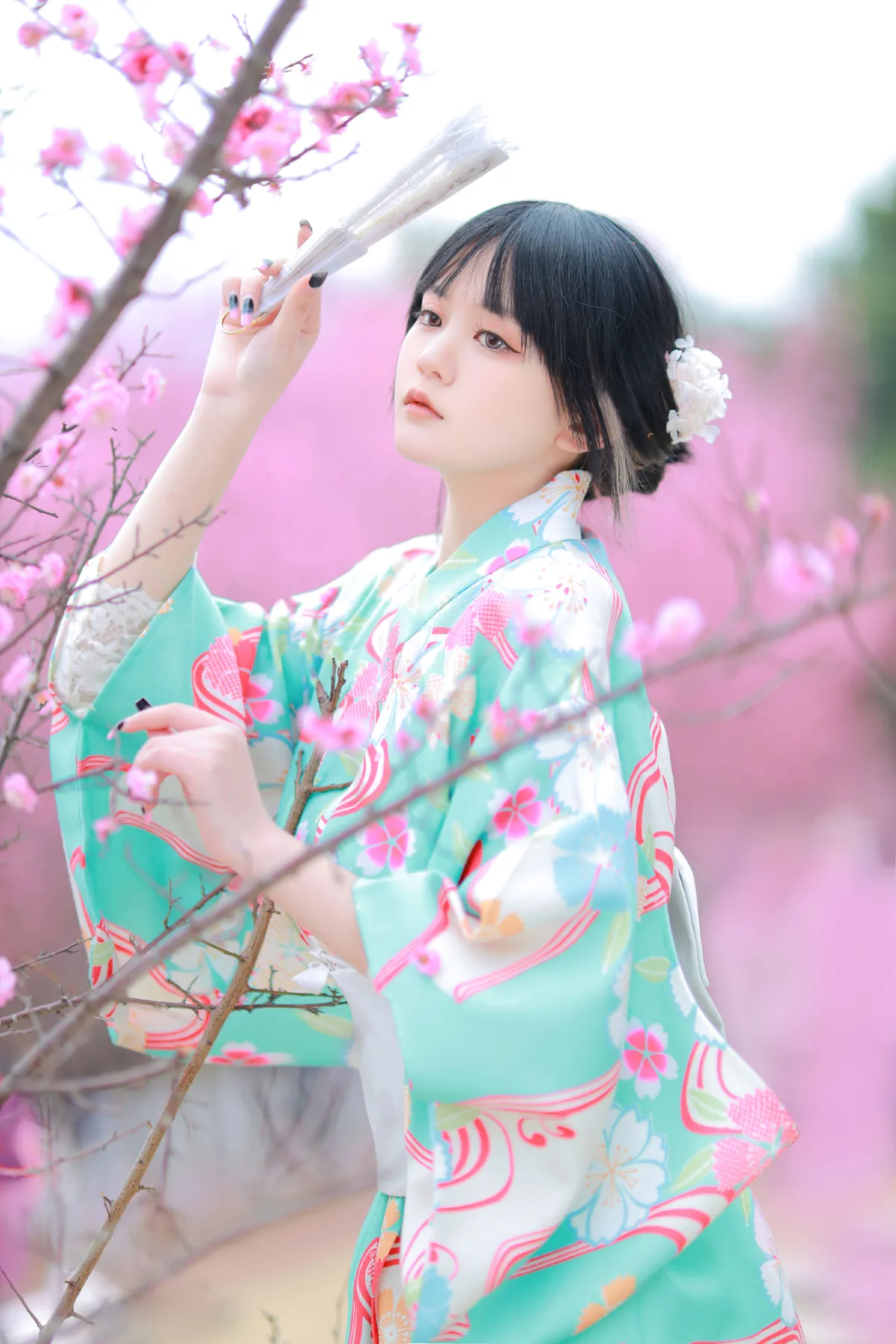 和服樱花