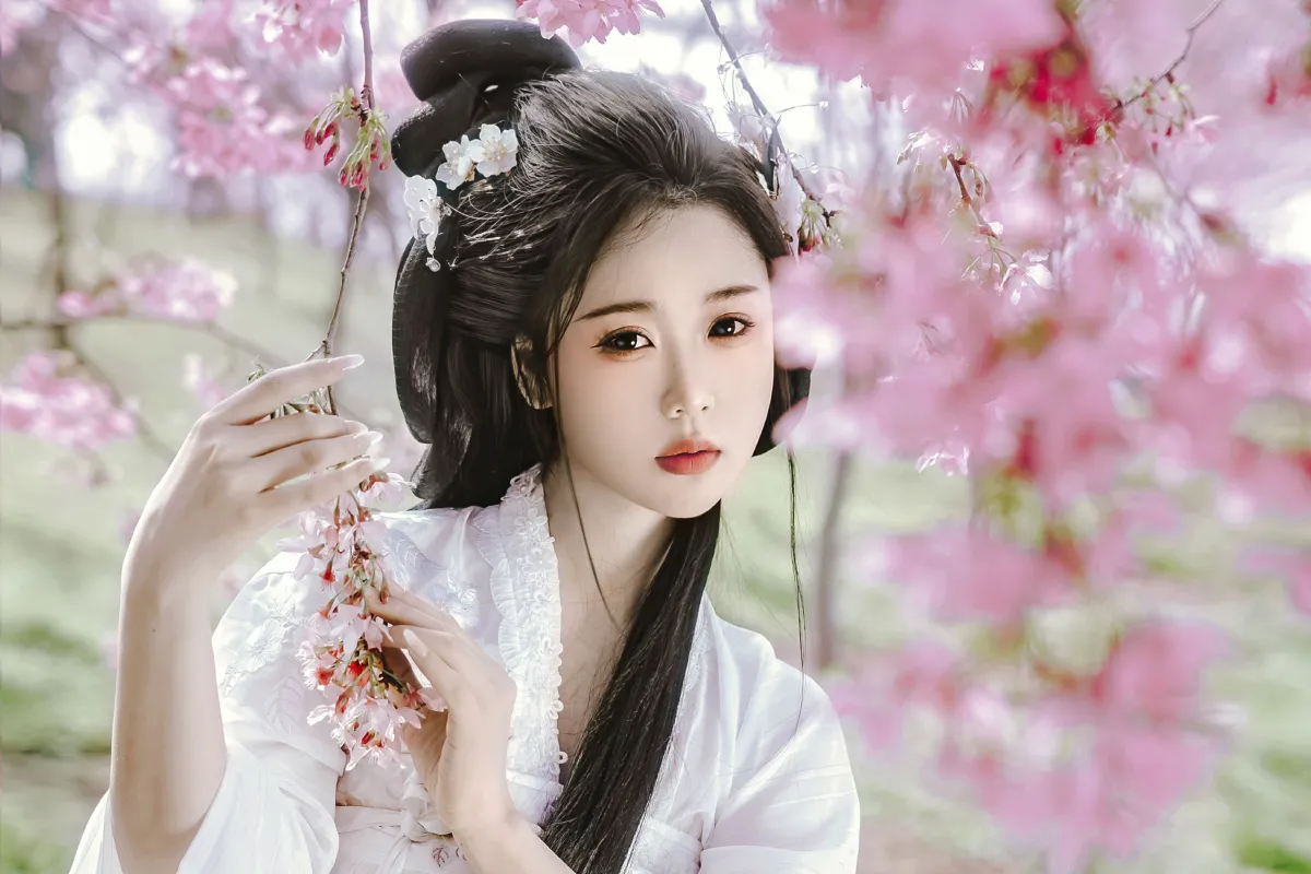 春风十里