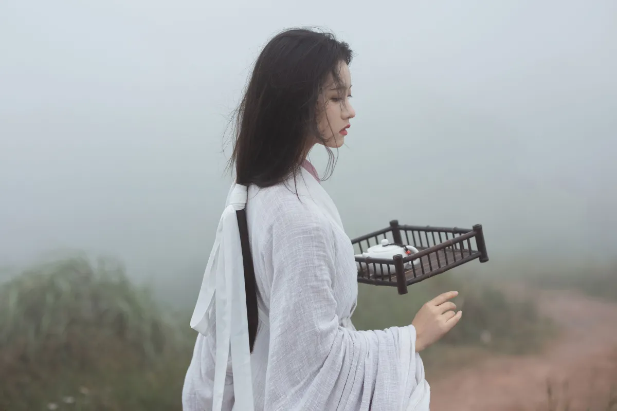 君山不归