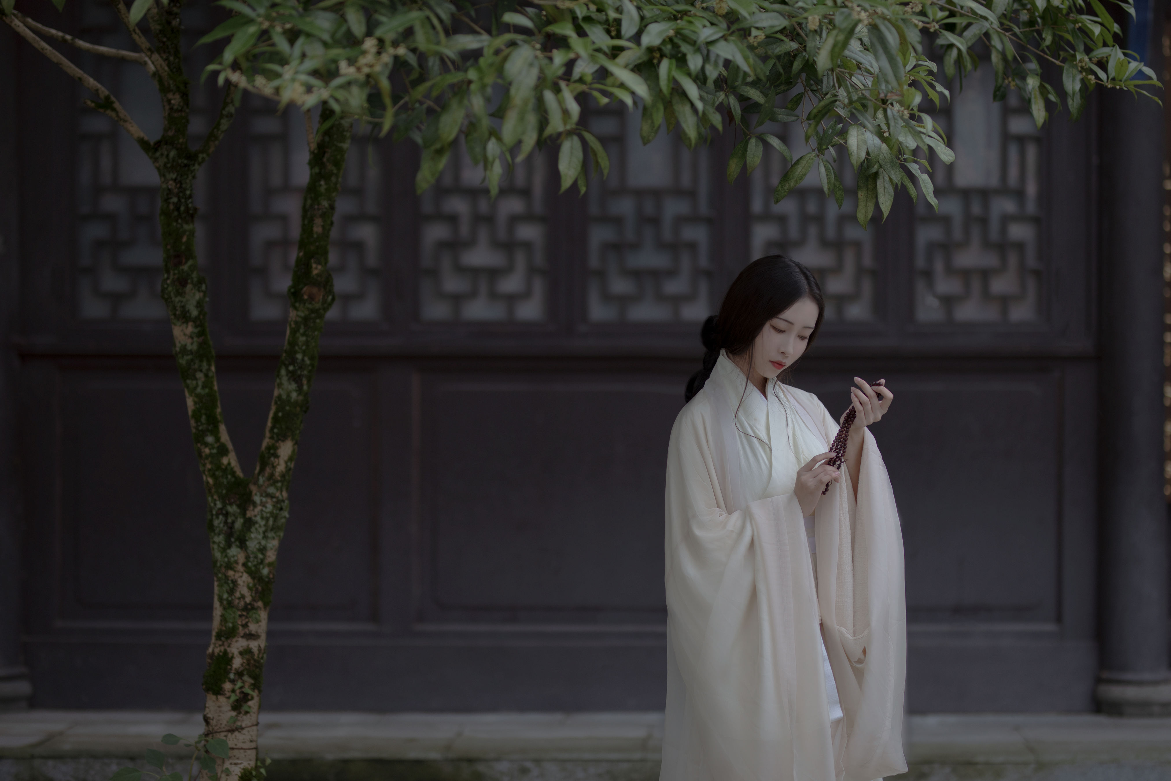 青山隐1