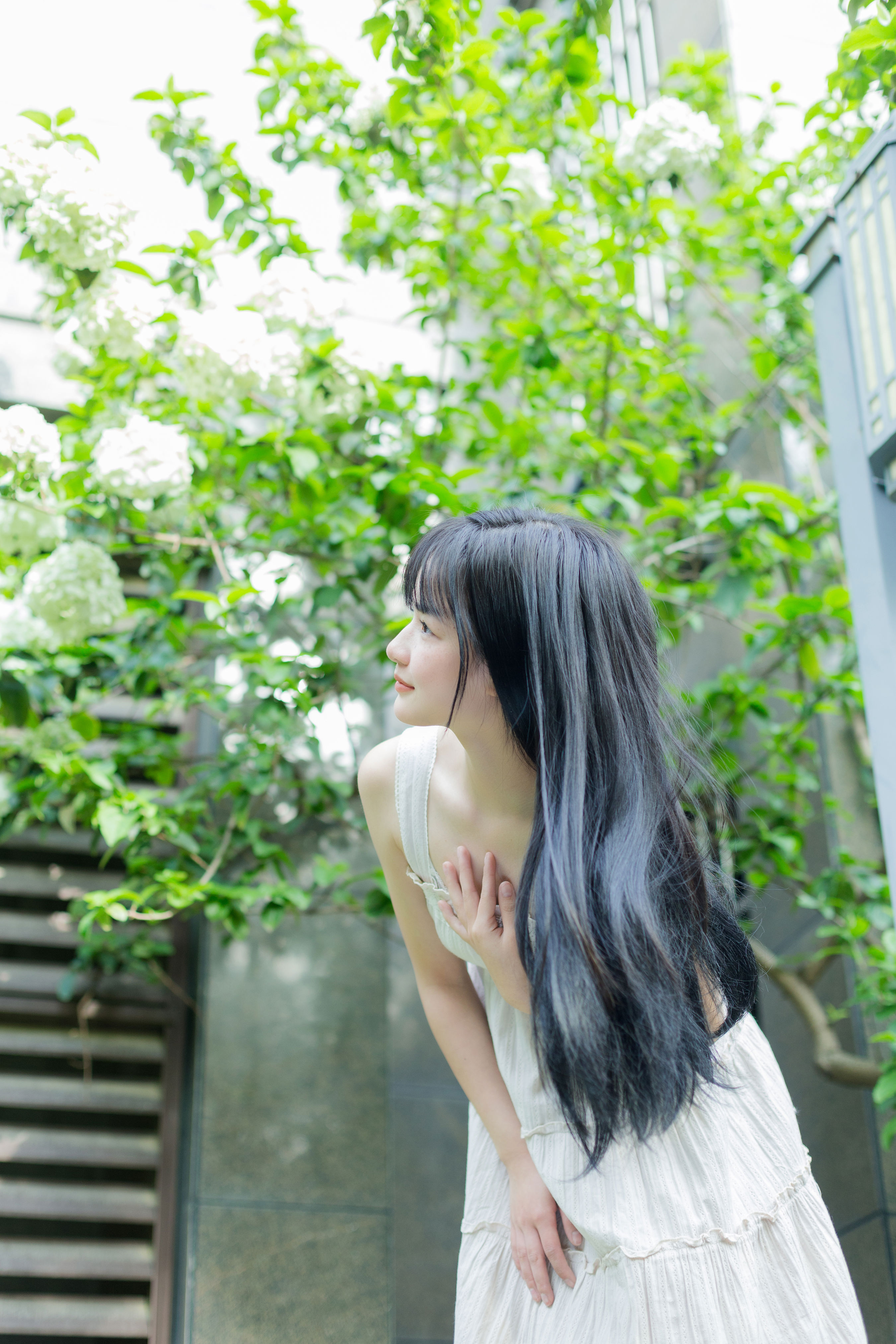 绿色心情