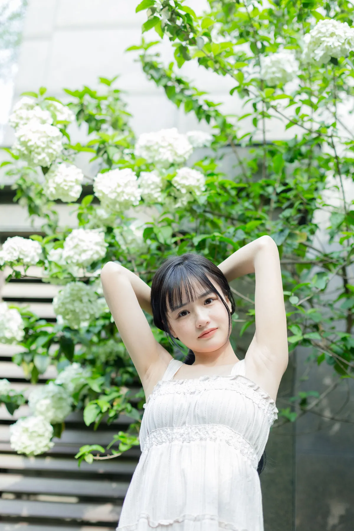 绿色心情