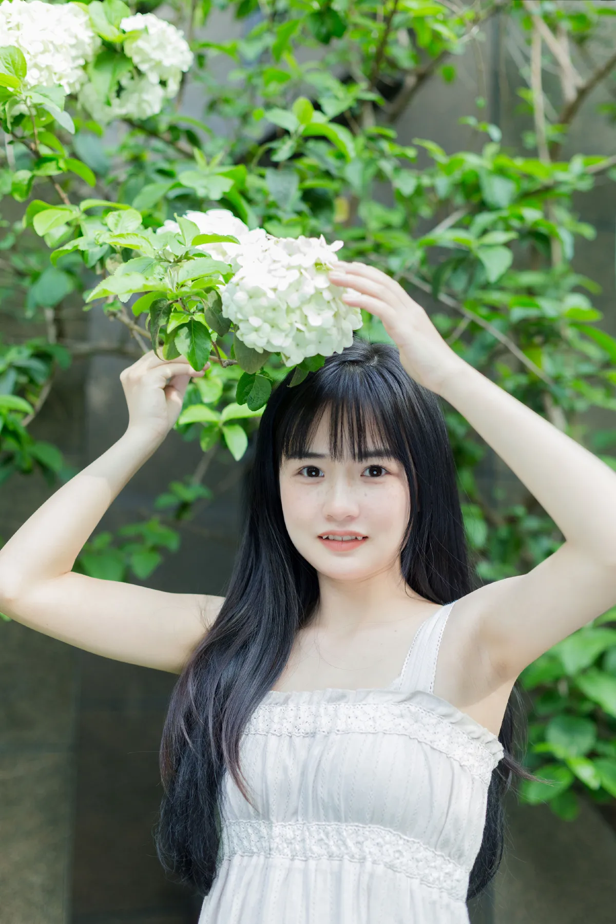 绿色心情