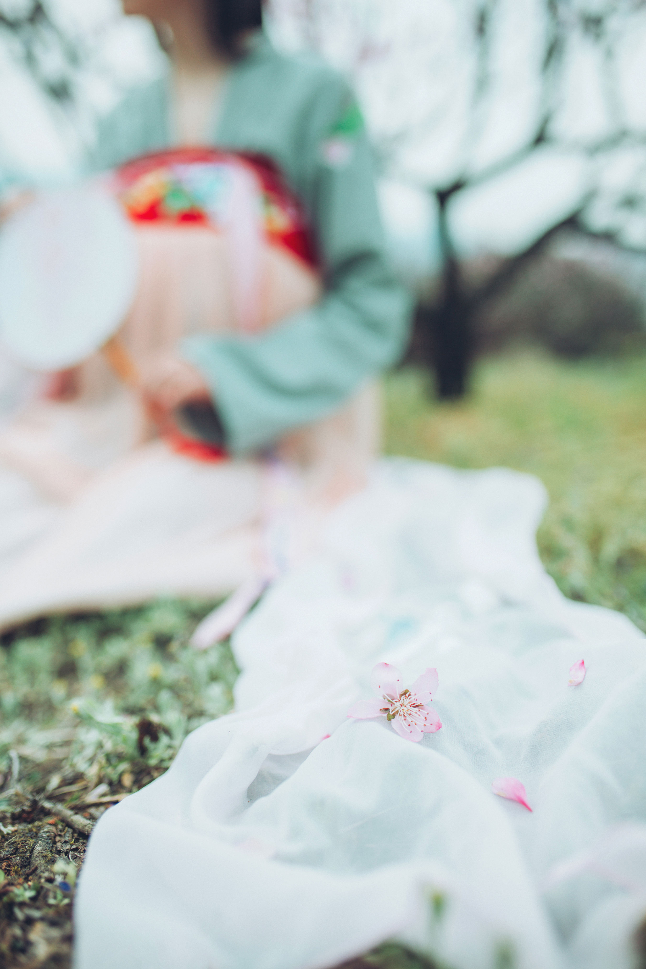 桃花