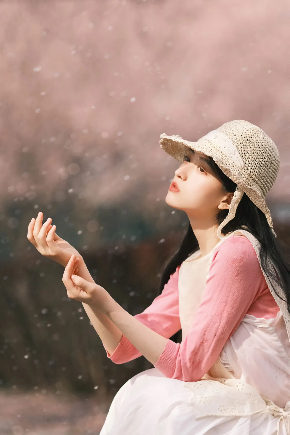 如愿以偿