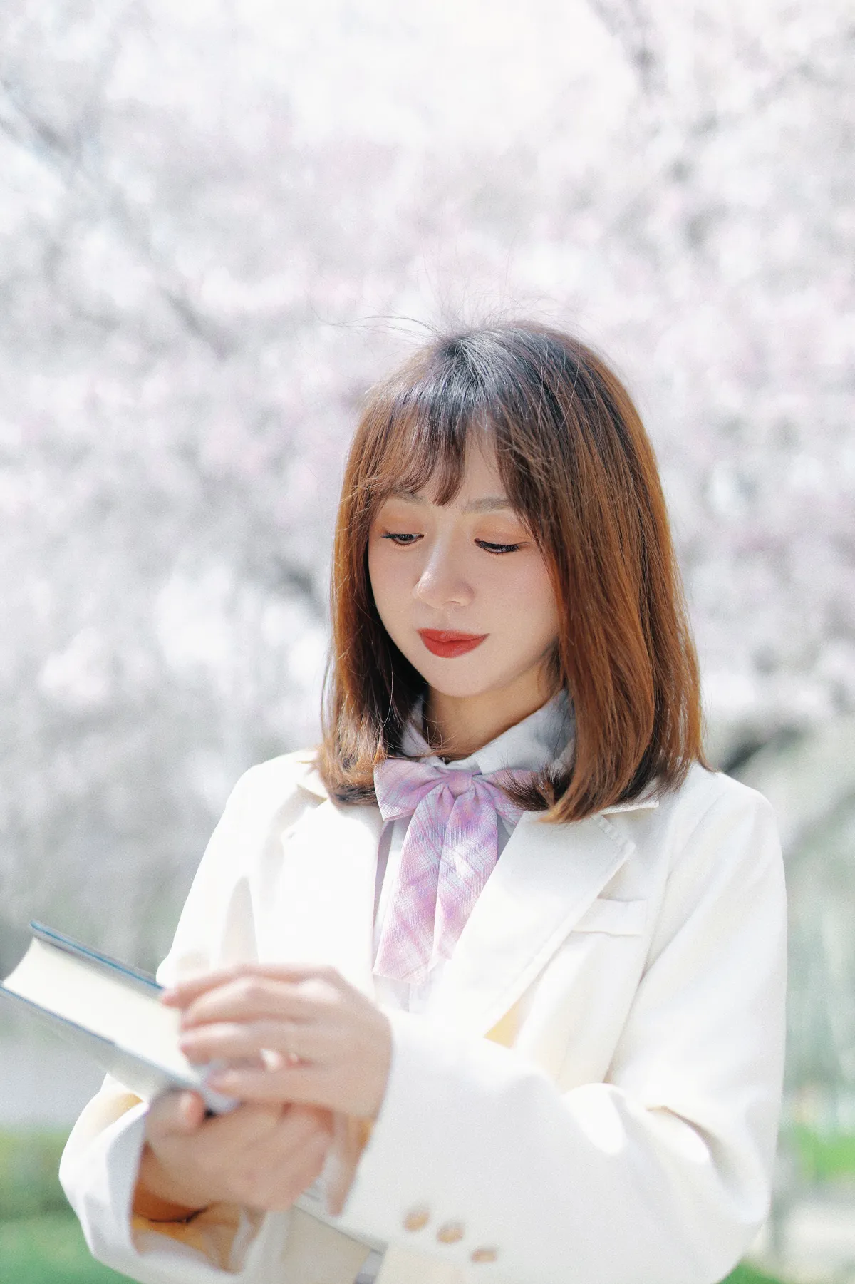 樱花教室