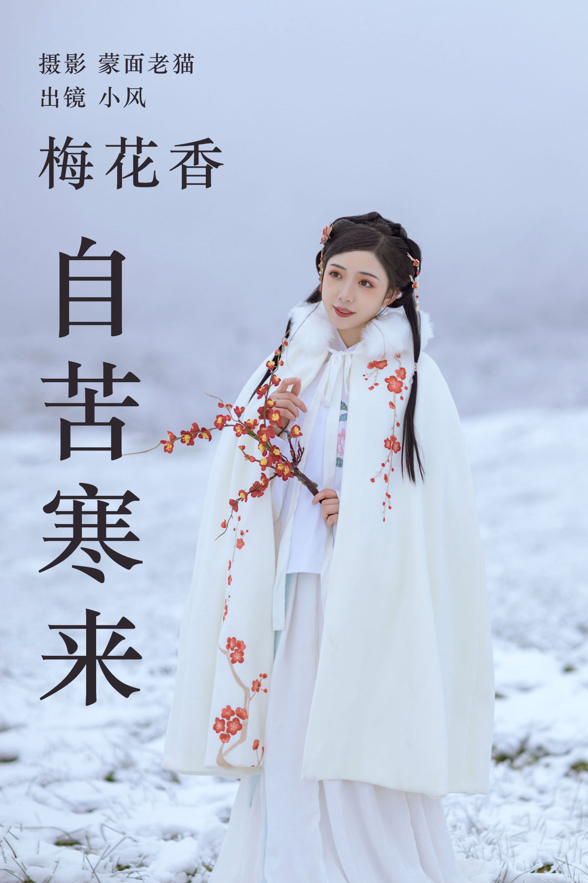 蒙面老猫_小风加载中《梅花香自苦寒来》美图作品图片1