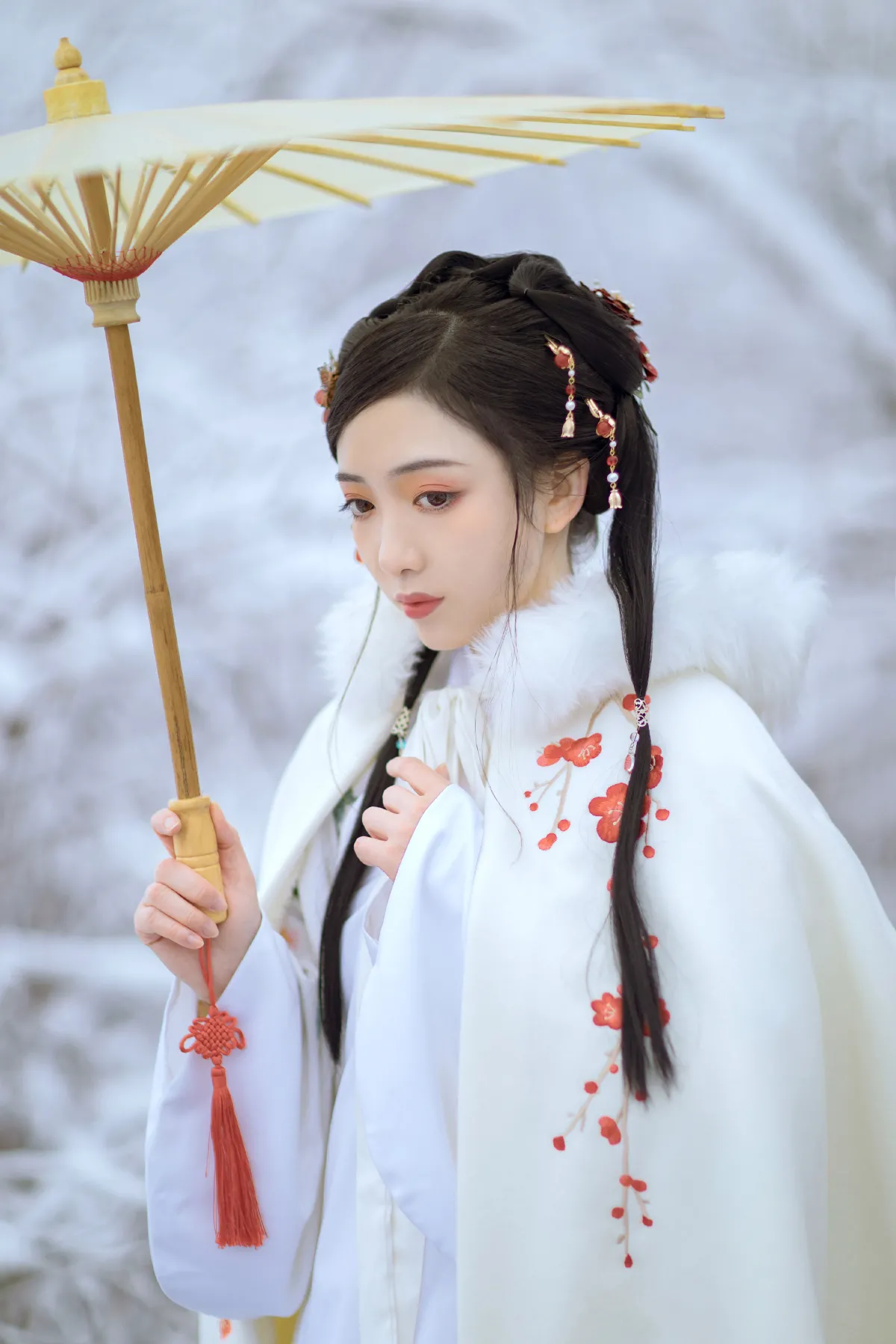 梅花香自苦寒来1