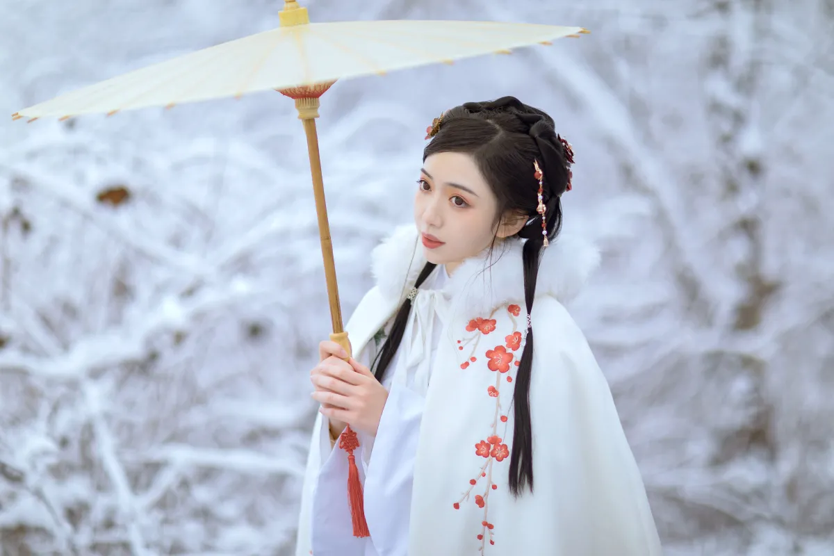 梅花香自苦寒来2