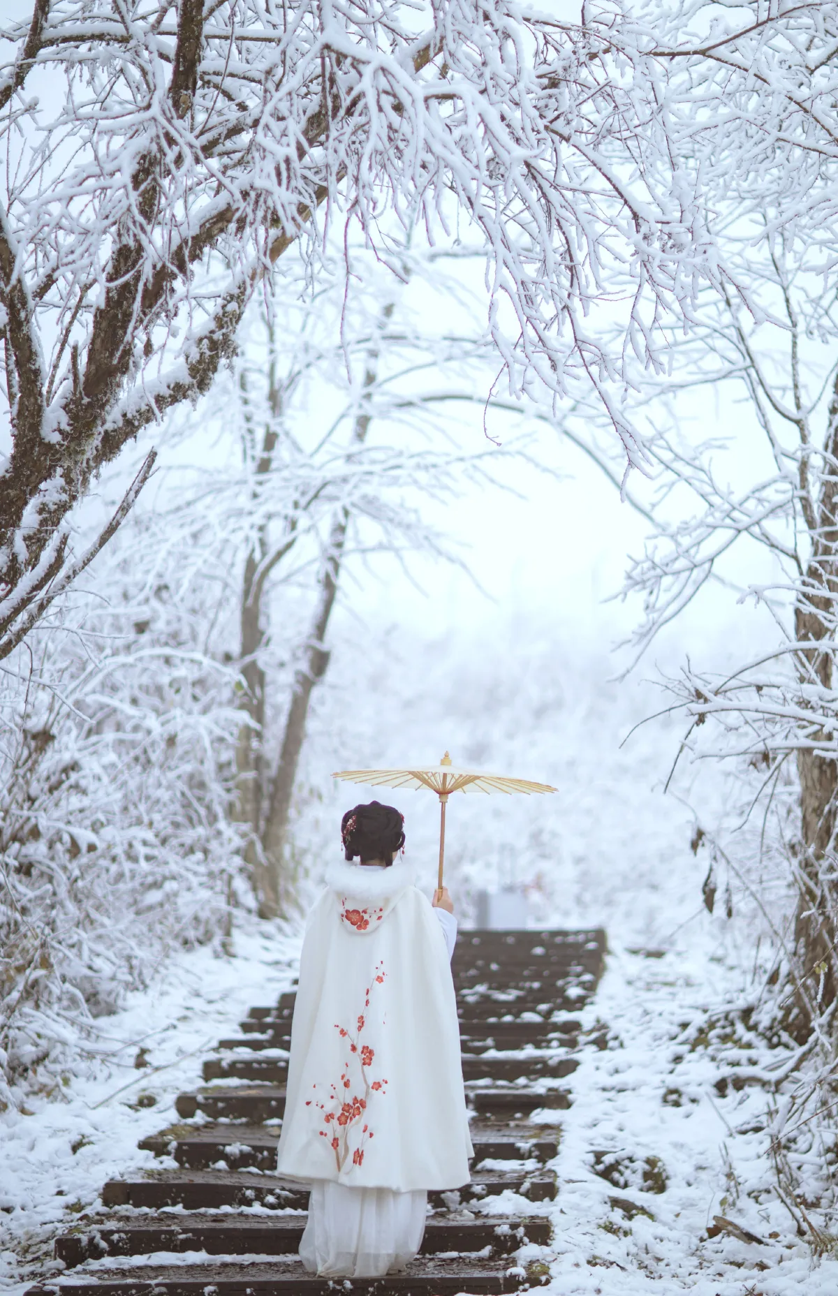 梅花香自苦寒来3