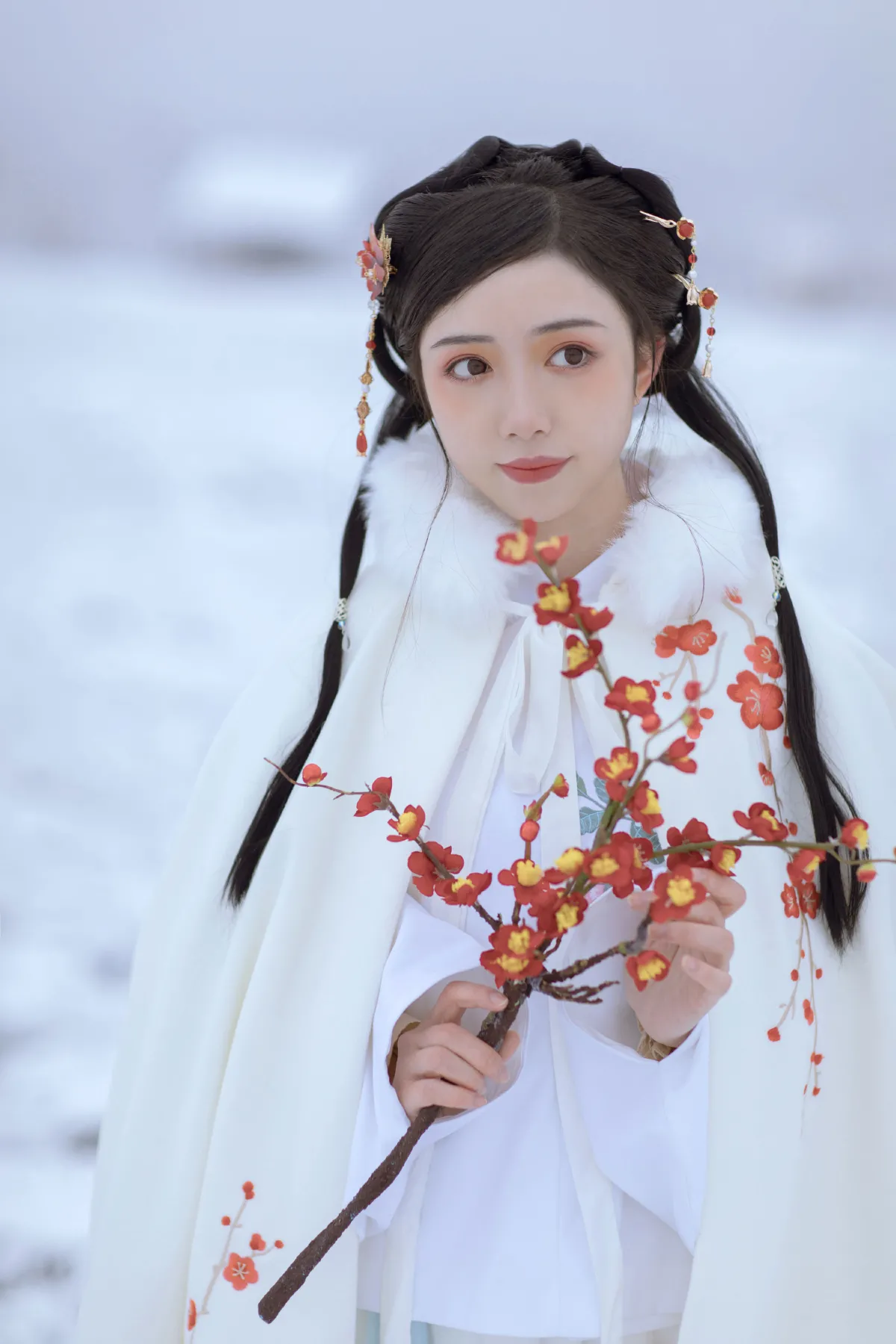 梅花香自苦寒来