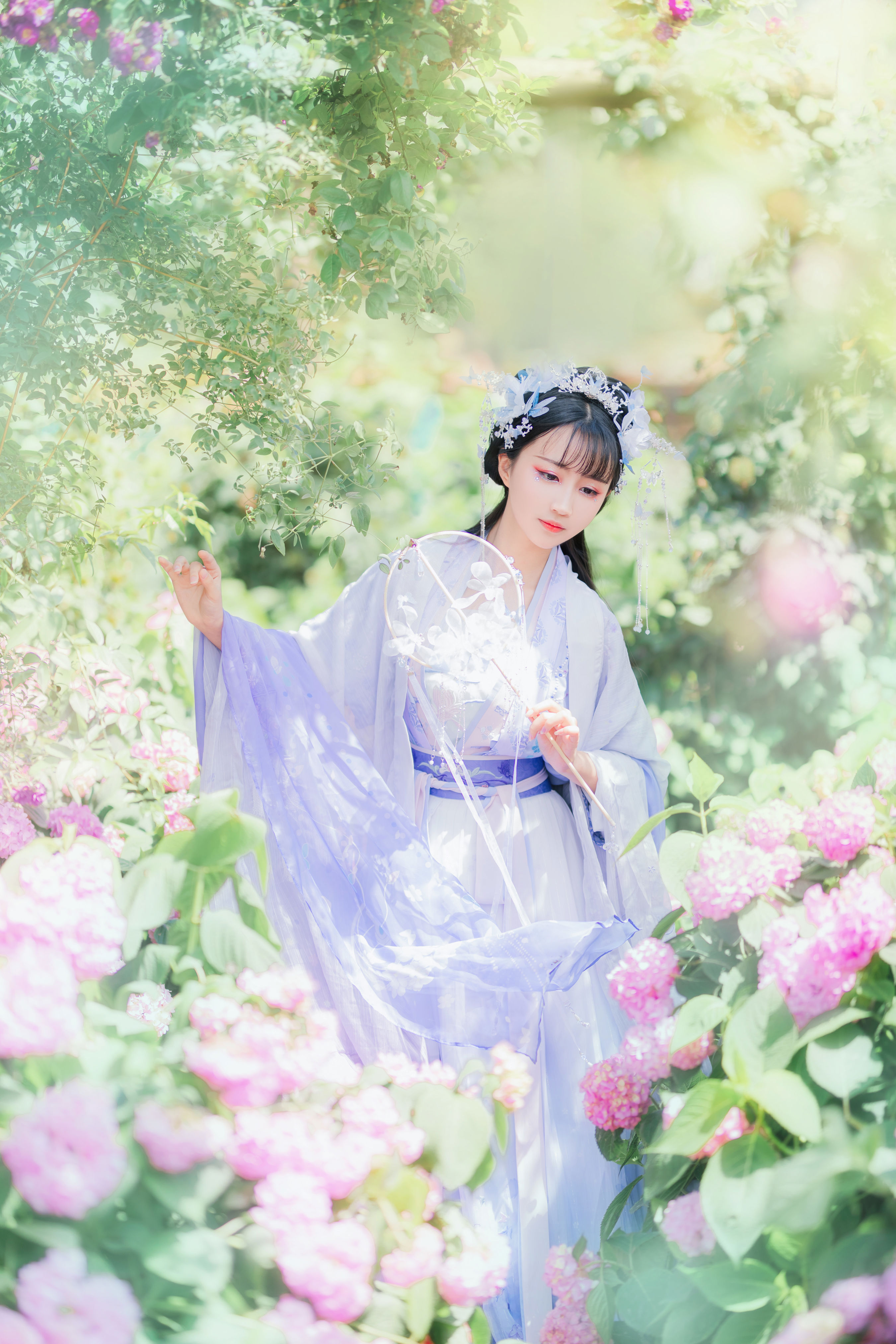蝶恋花