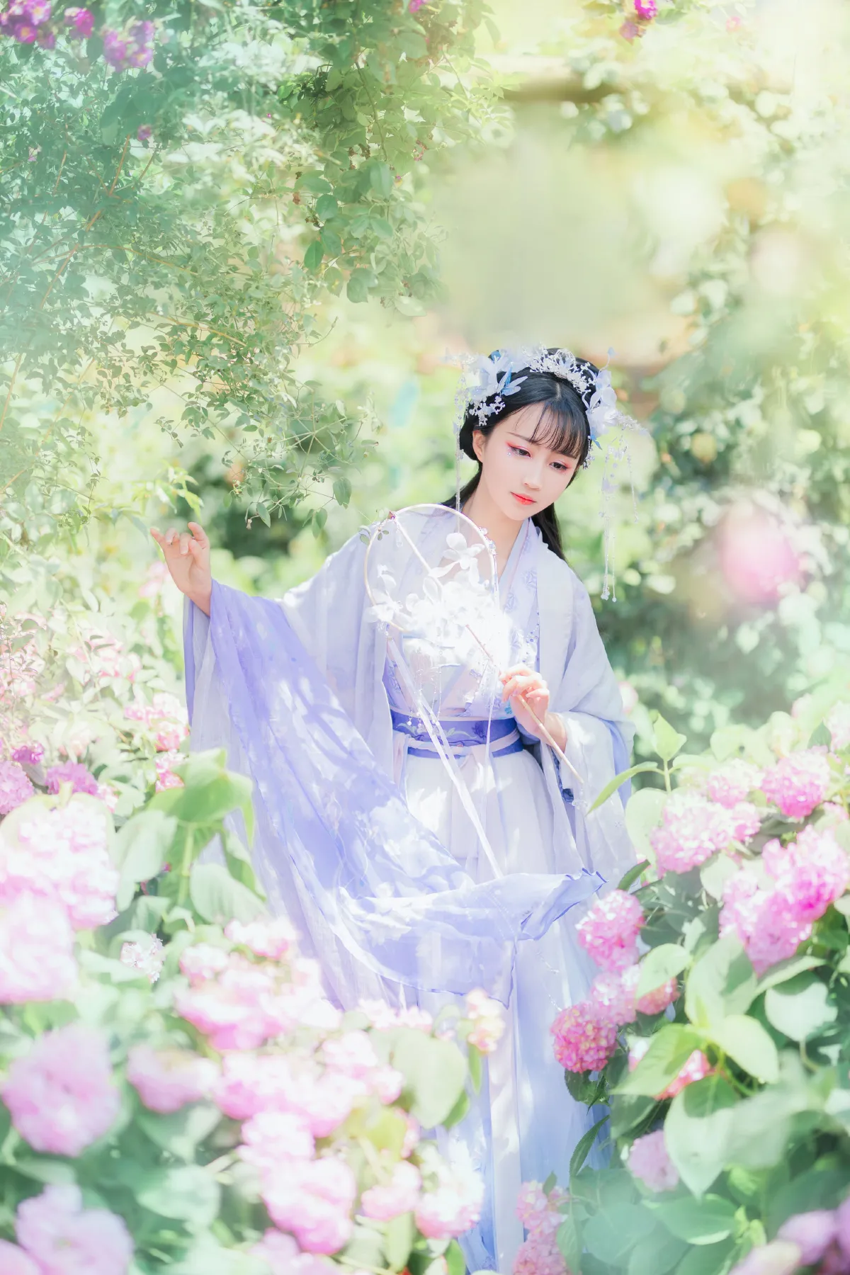 蝶恋花