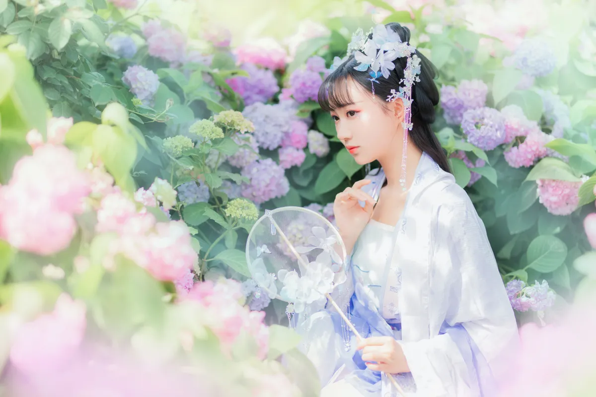 蝶恋花