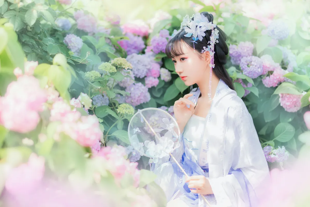 蝶恋花2