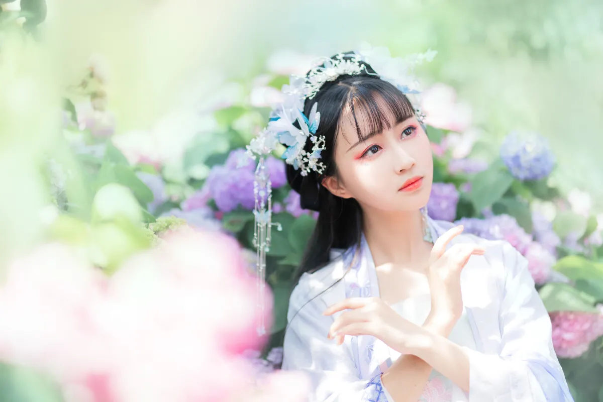 蝶恋花3
