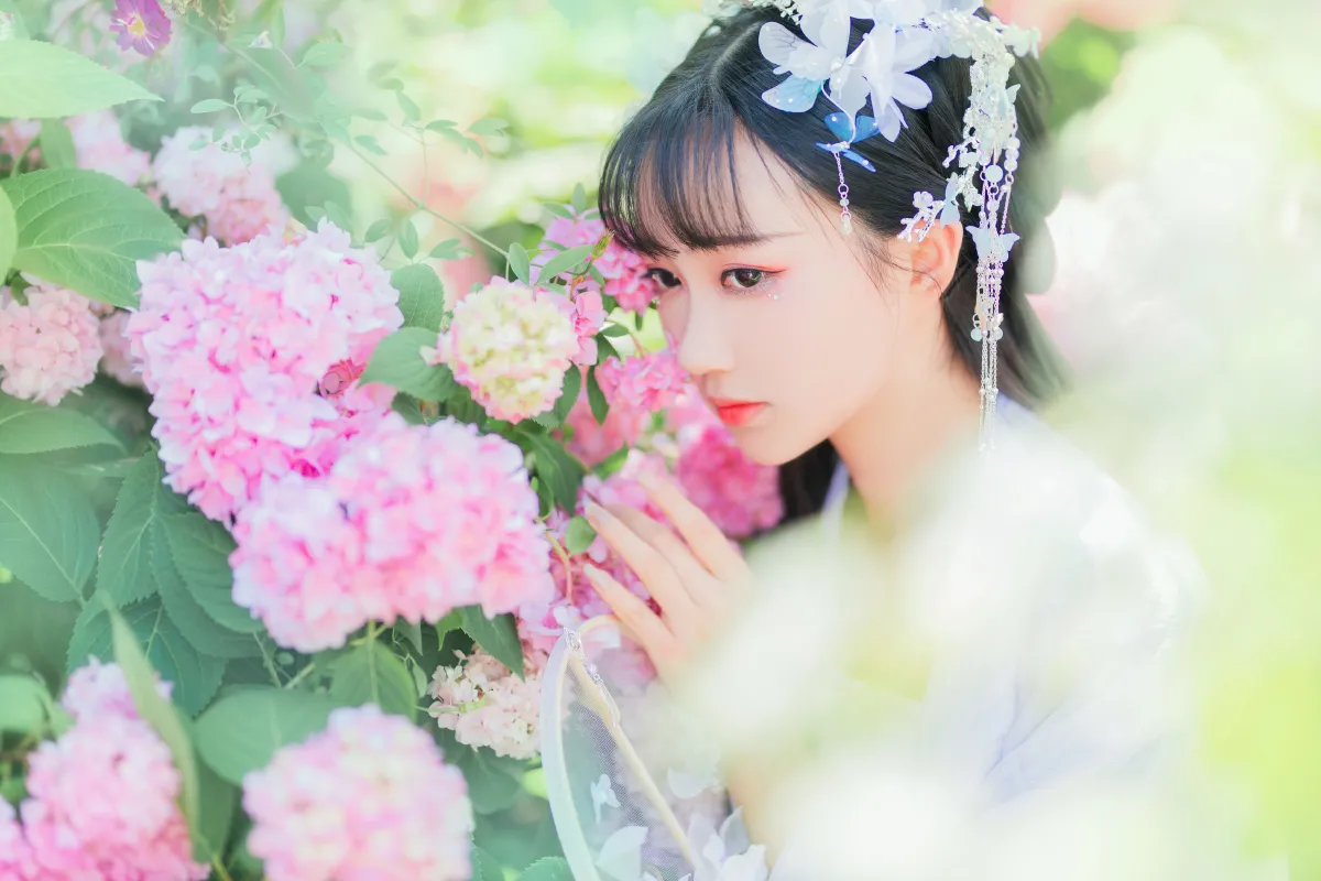 蝶恋花