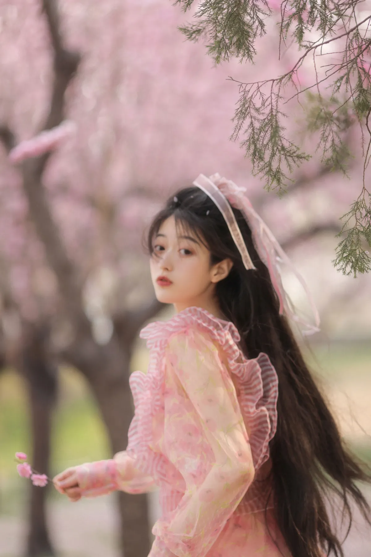 花与温柔