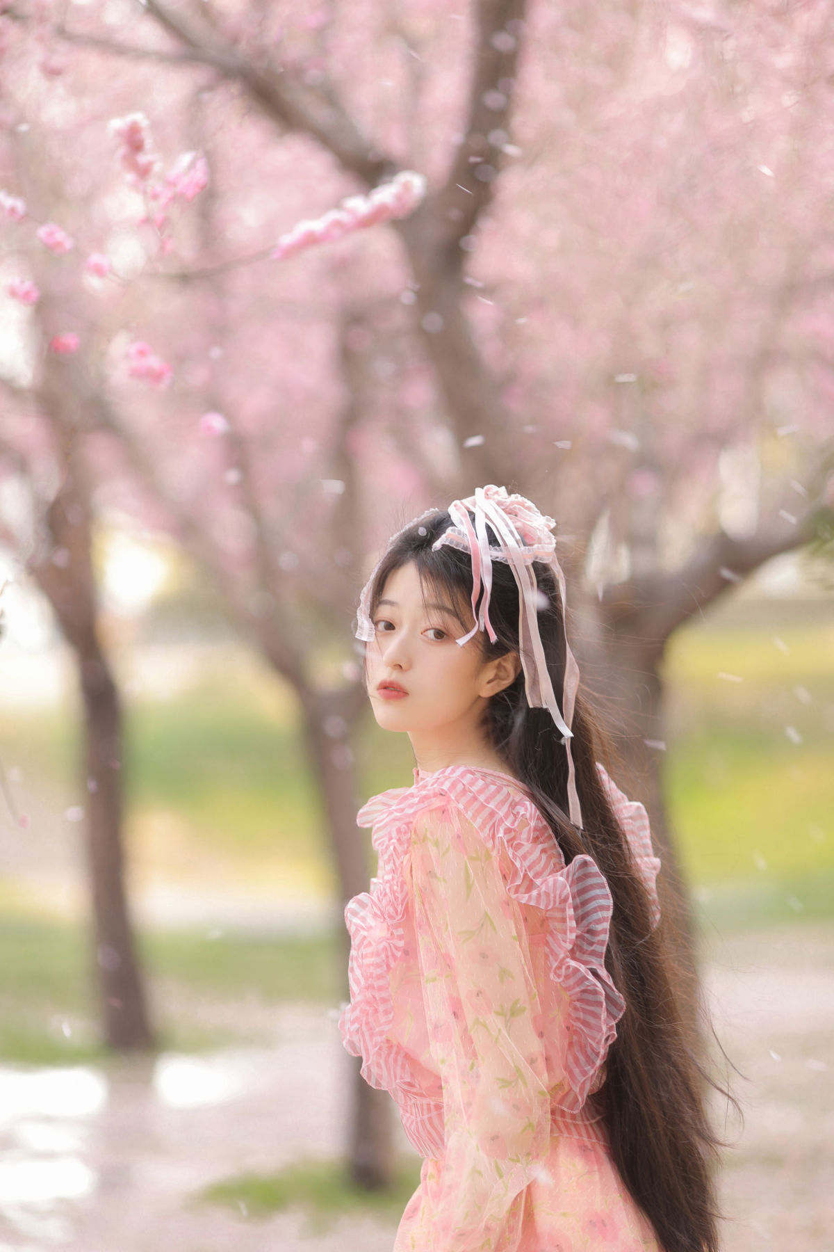 花与温柔3