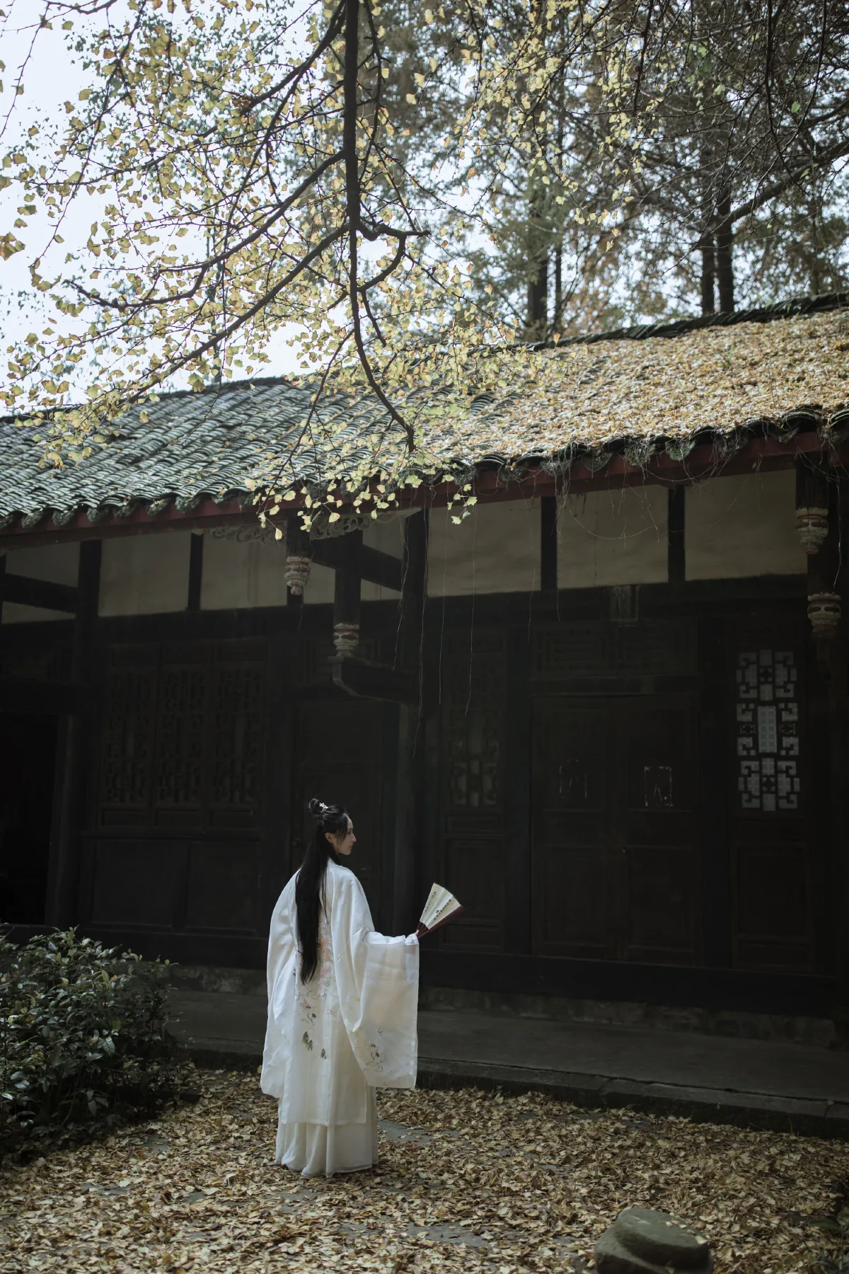 山河故人归