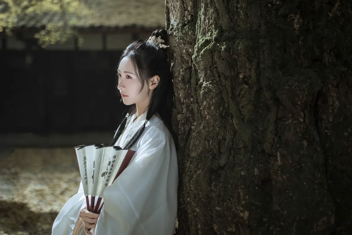 山河故人归