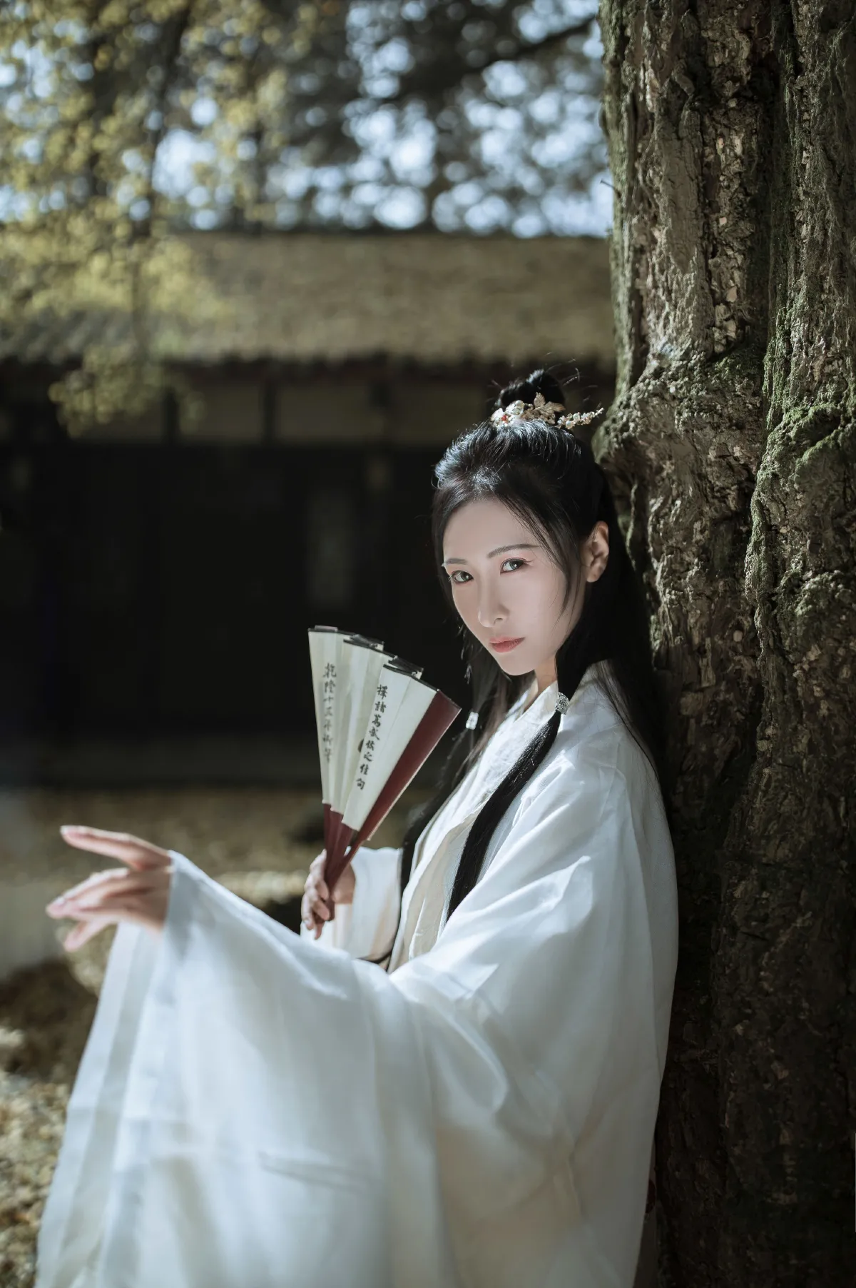 山河故人归