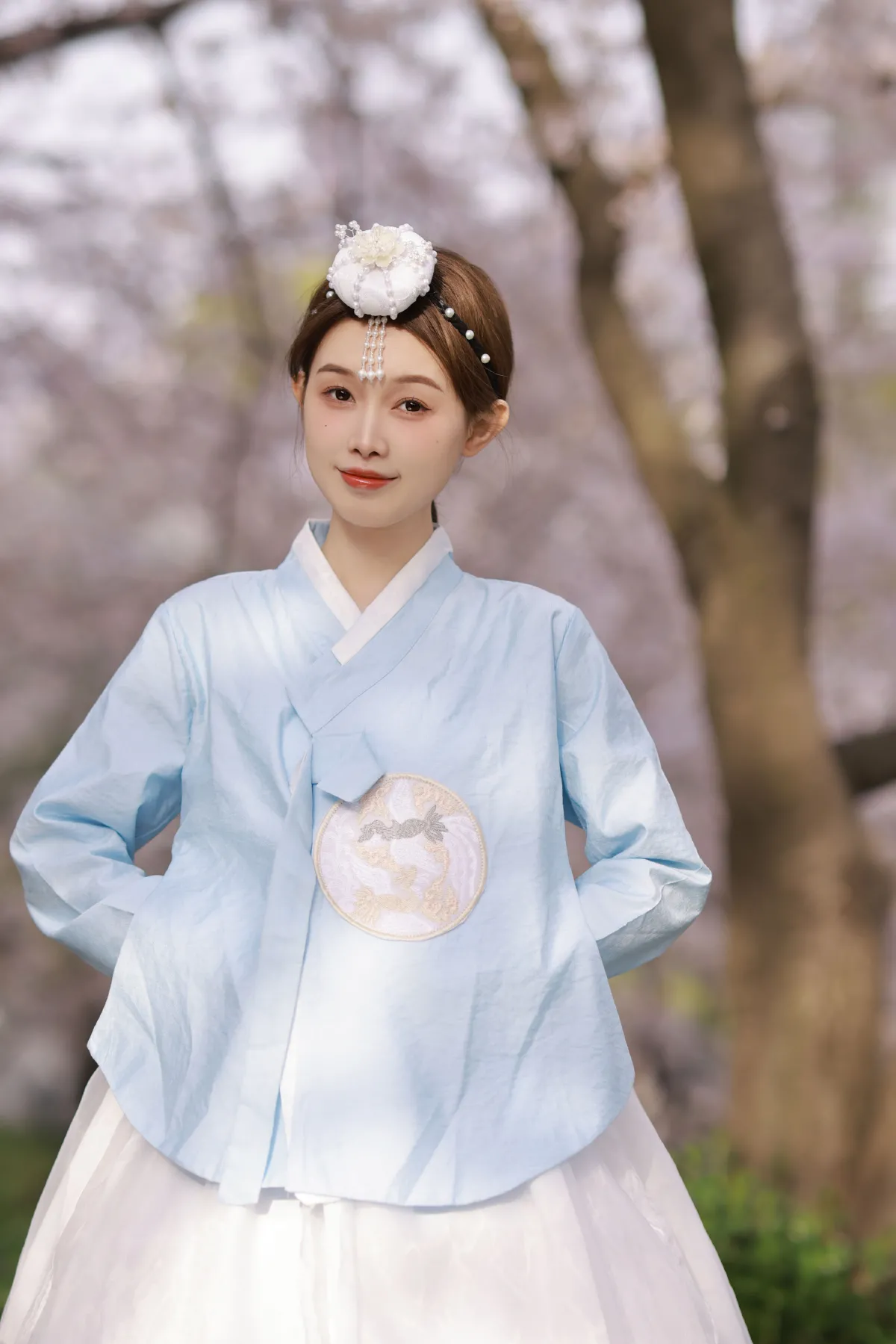 探一场樱花