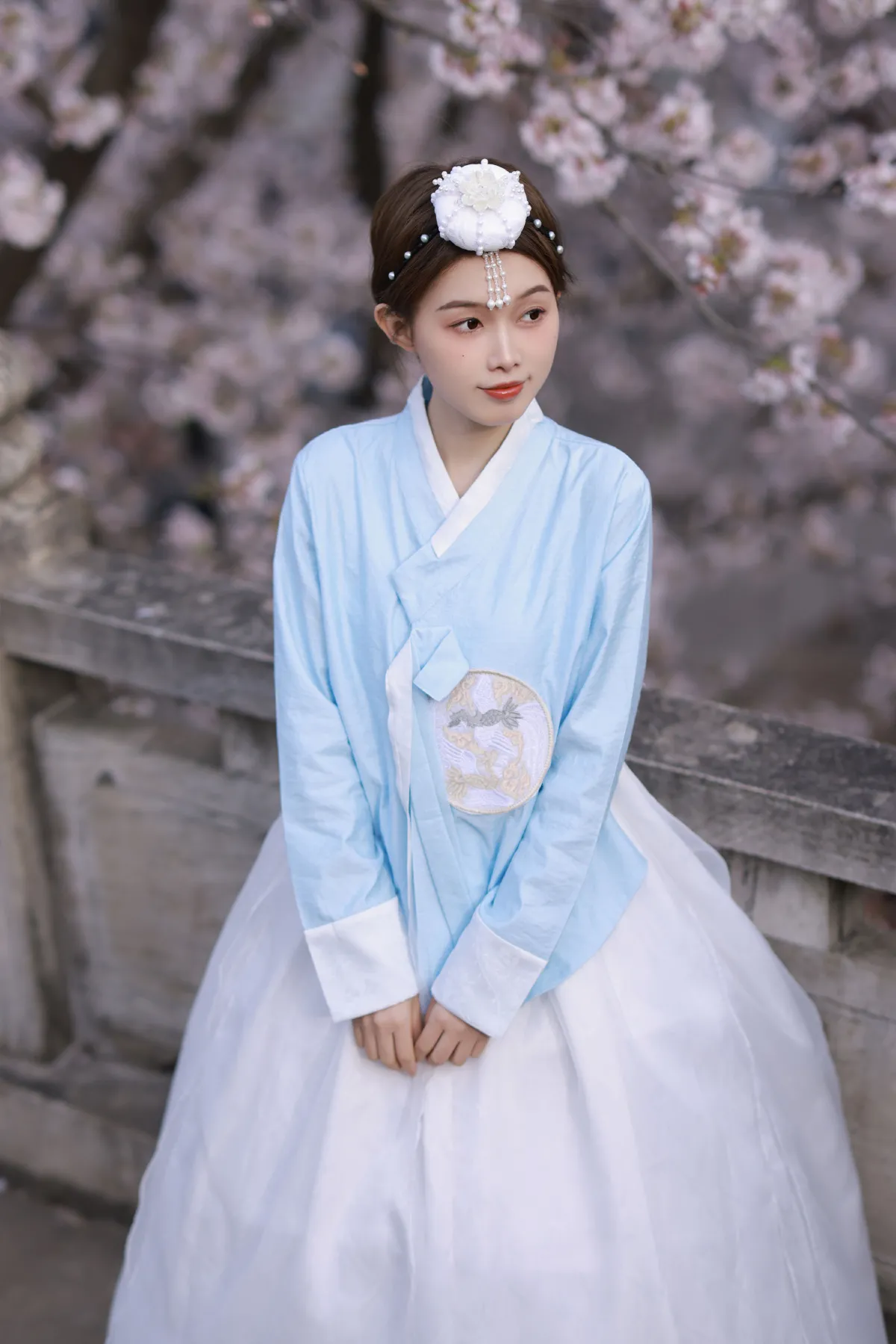 探一场樱花