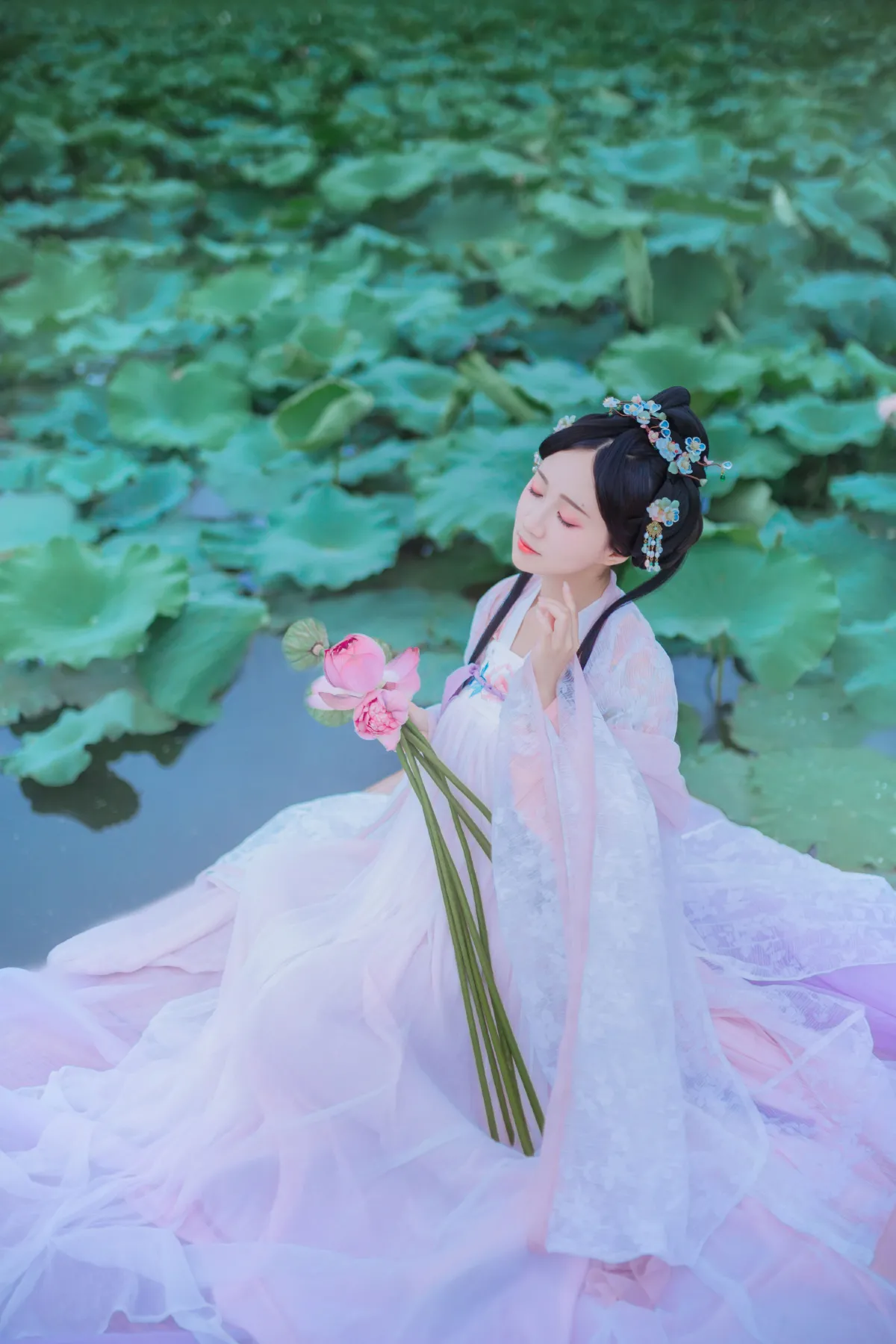梦入芙蓉浦