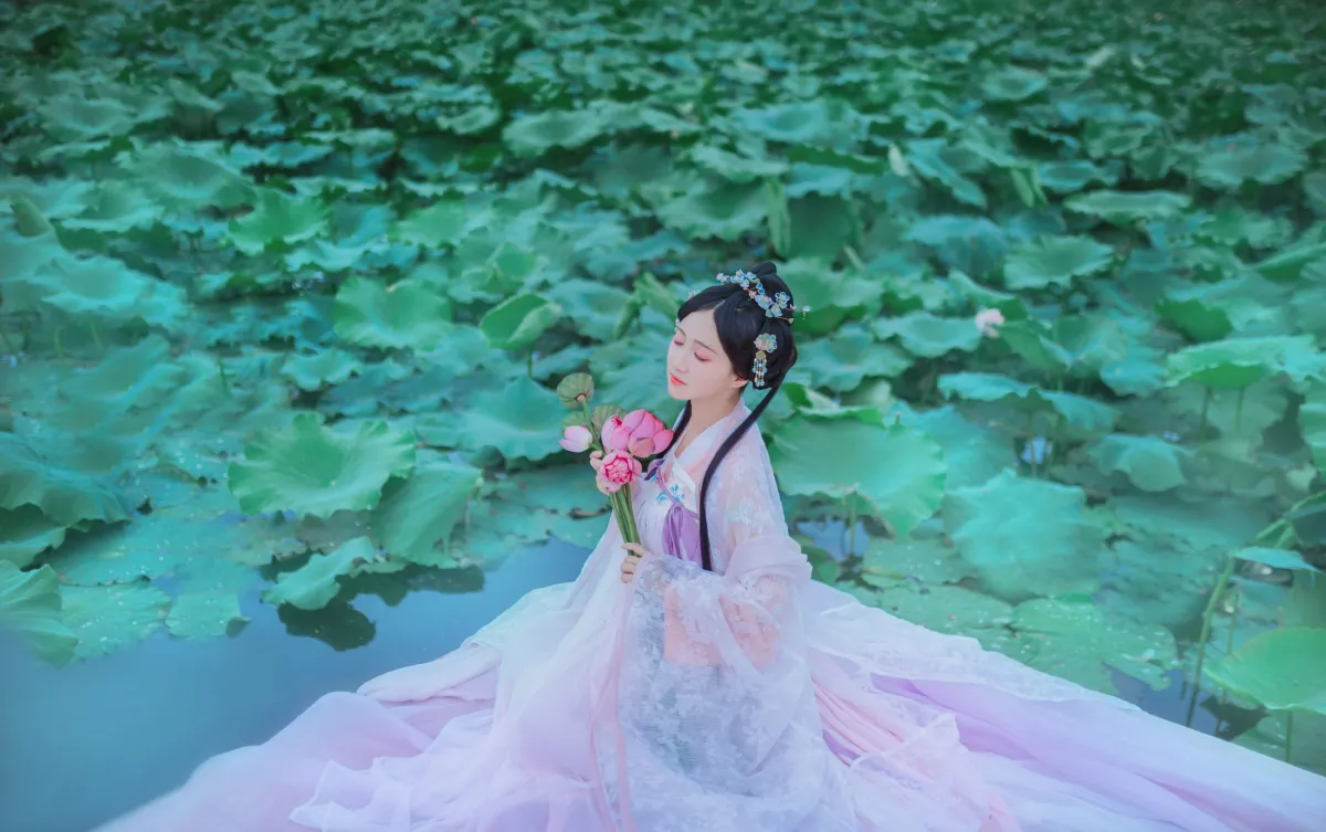 梦入芙蓉浦2