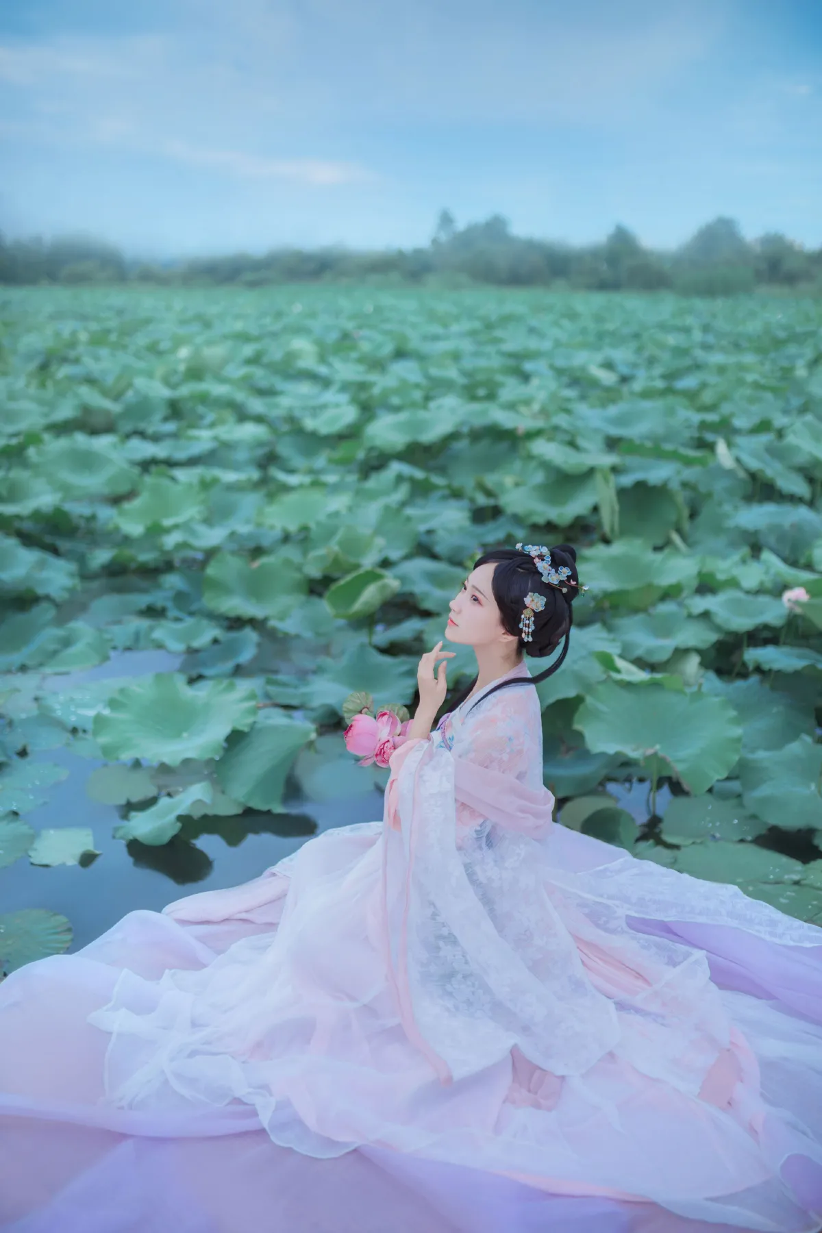梦入芙蓉浦