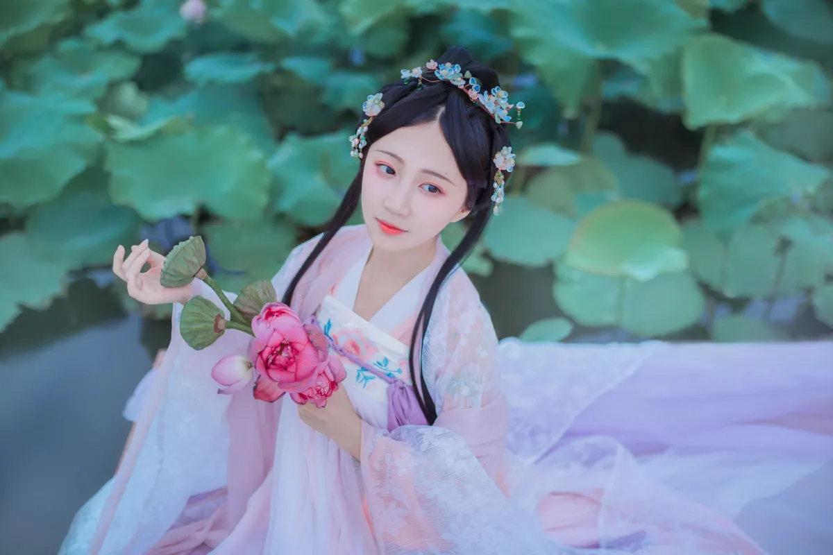 梦入芙蓉浦