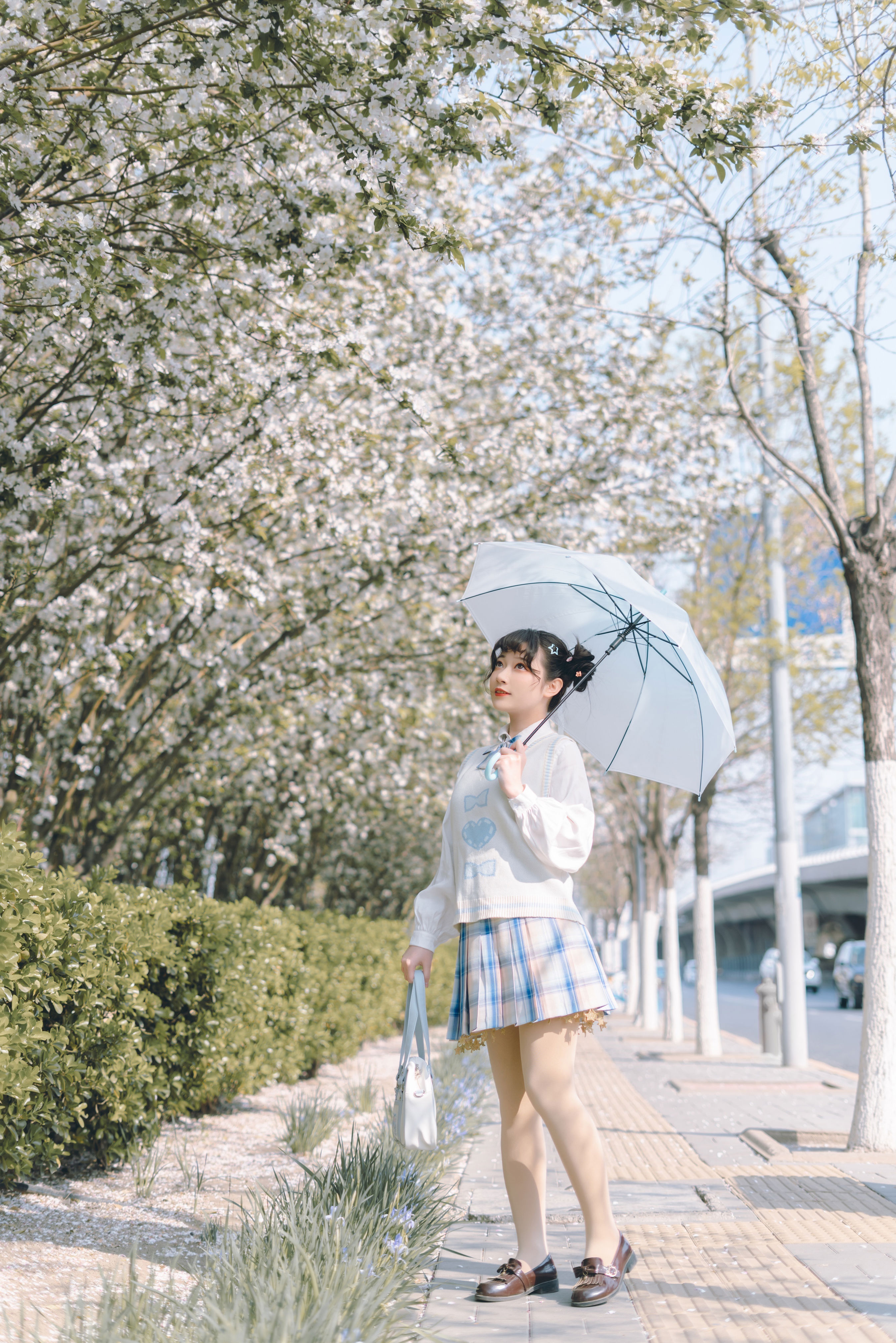 白色相簿