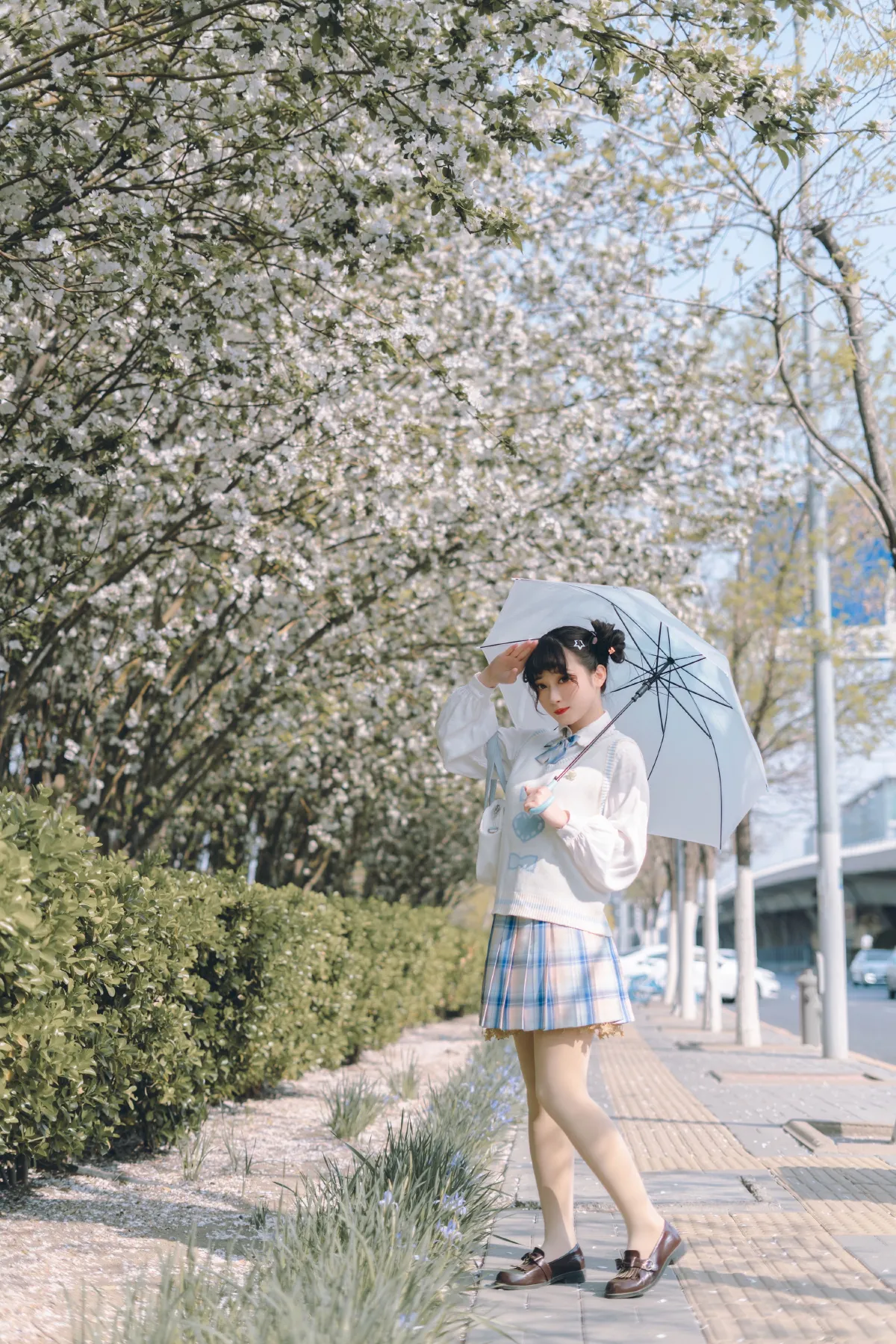 白色相簿