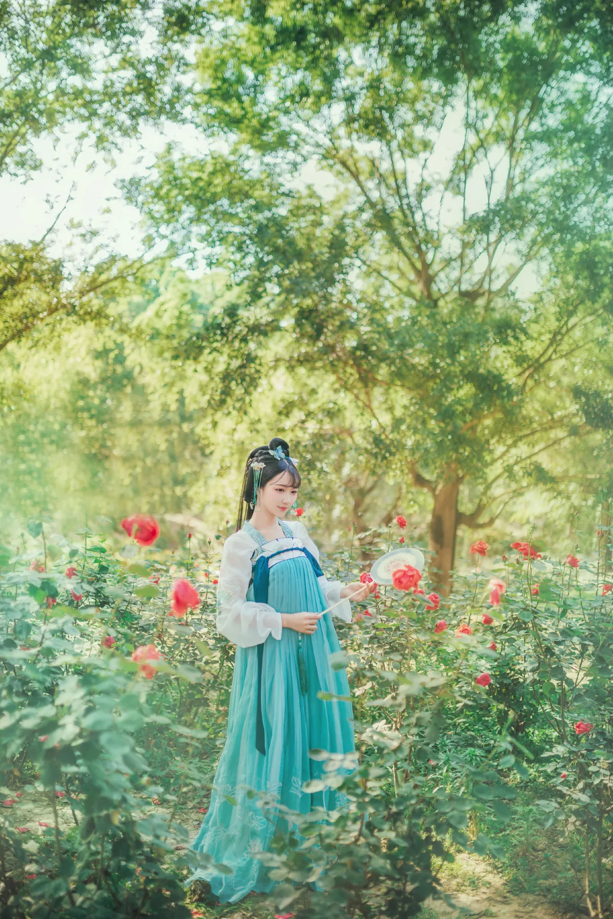 梦境玫瑰1