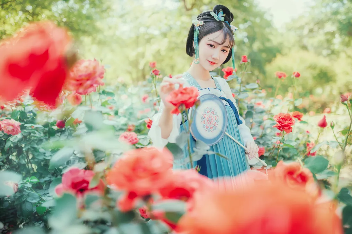 梦境玫瑰