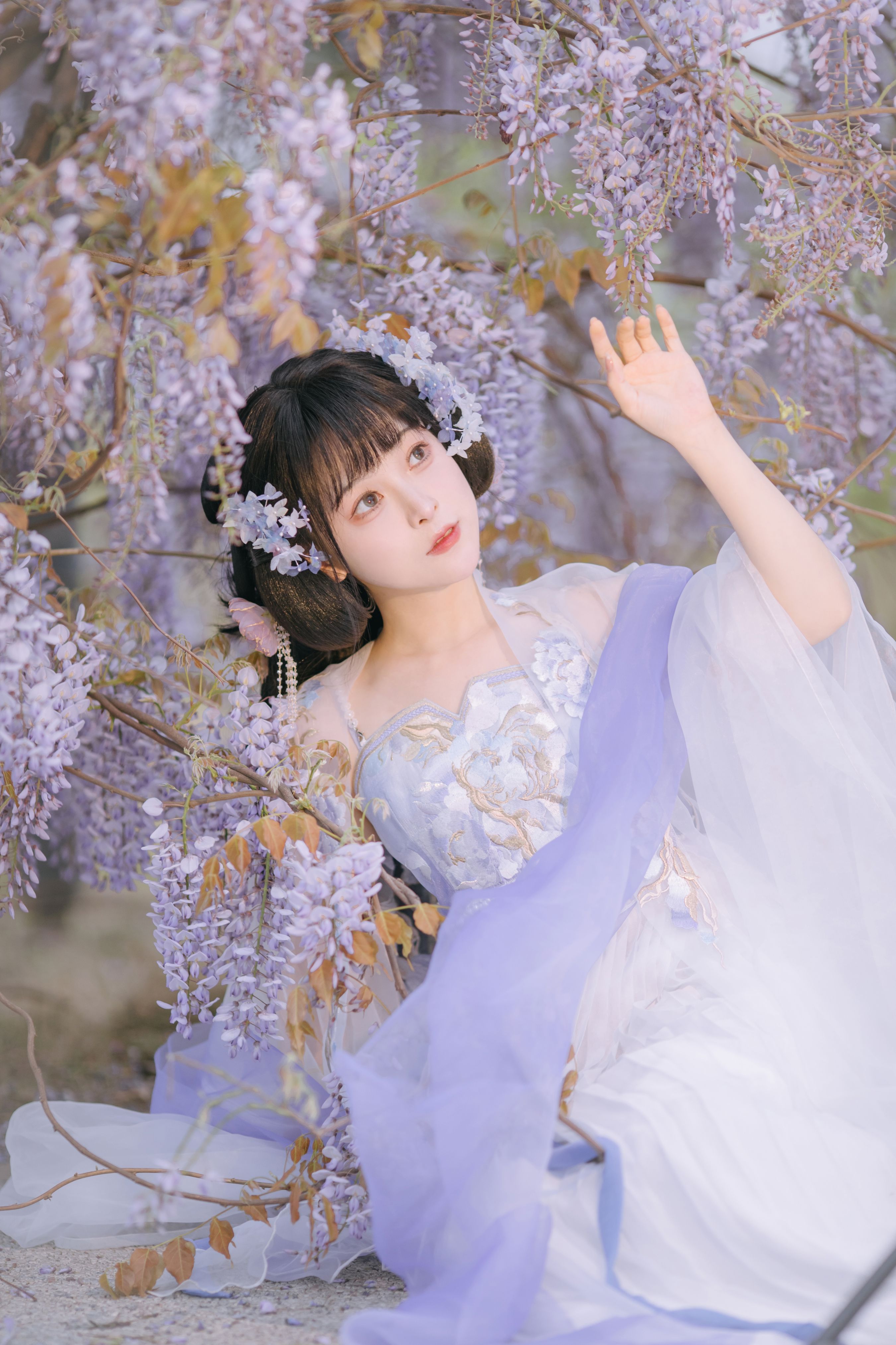 紫藤小花仙