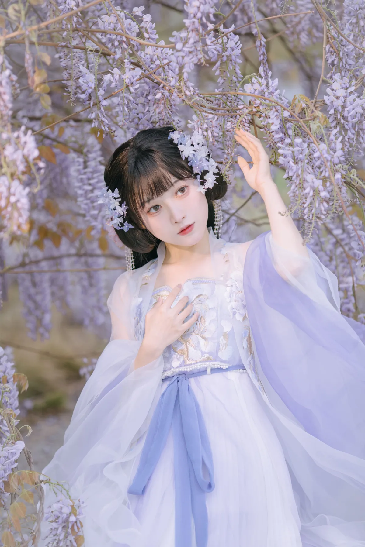 晓山青_麻辣孔雀《紫藤小花仙》美图作品图片5