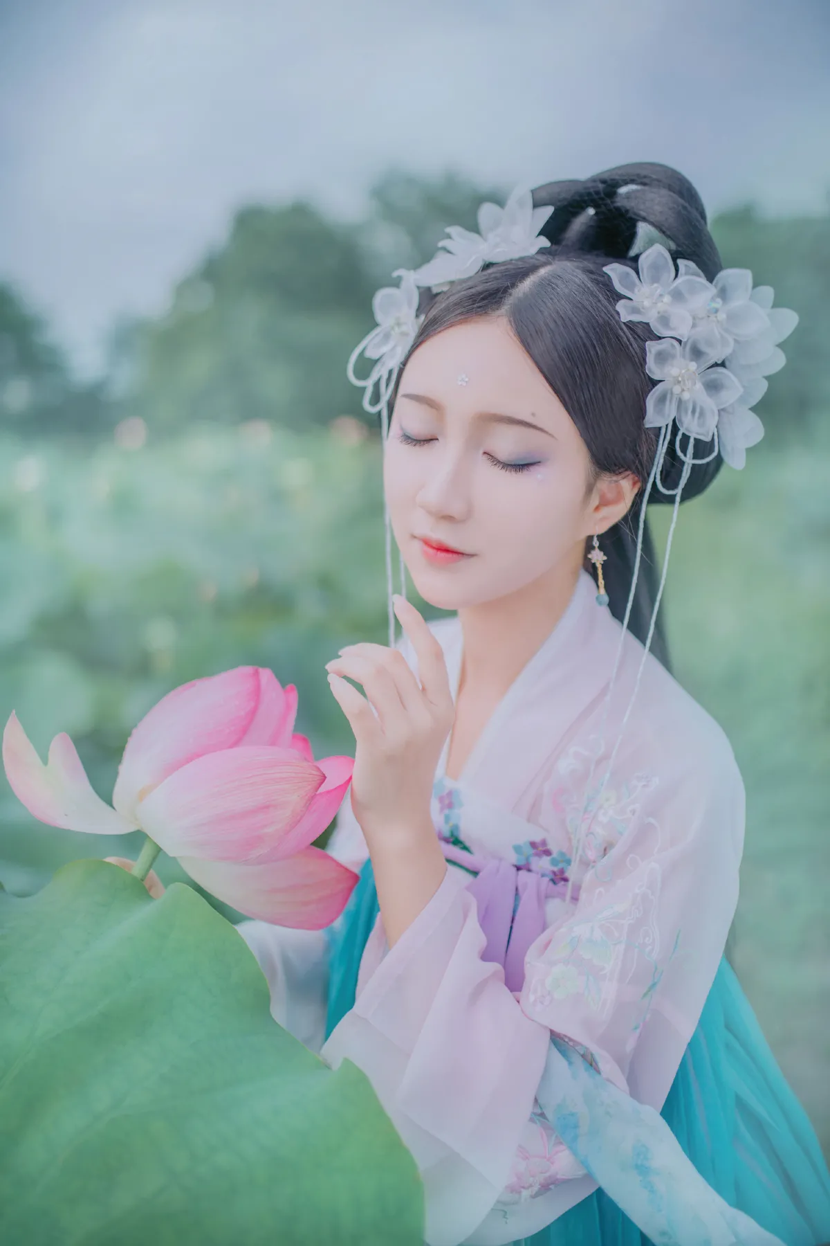 苏幕遮
