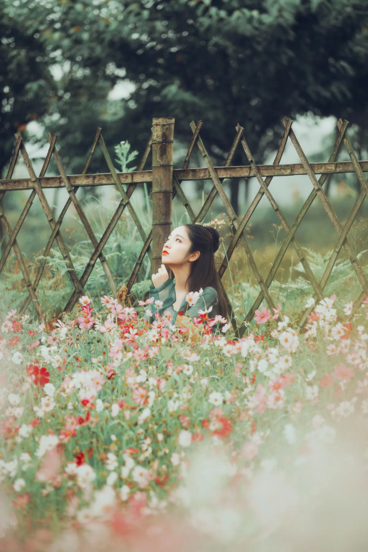 花语3