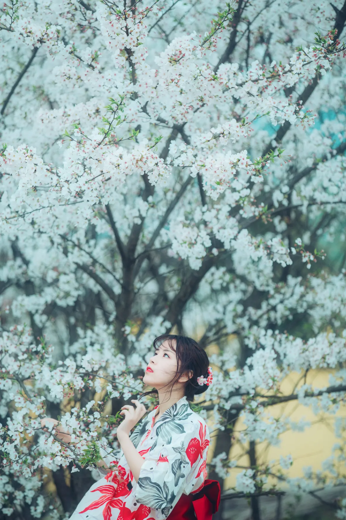 流樱1