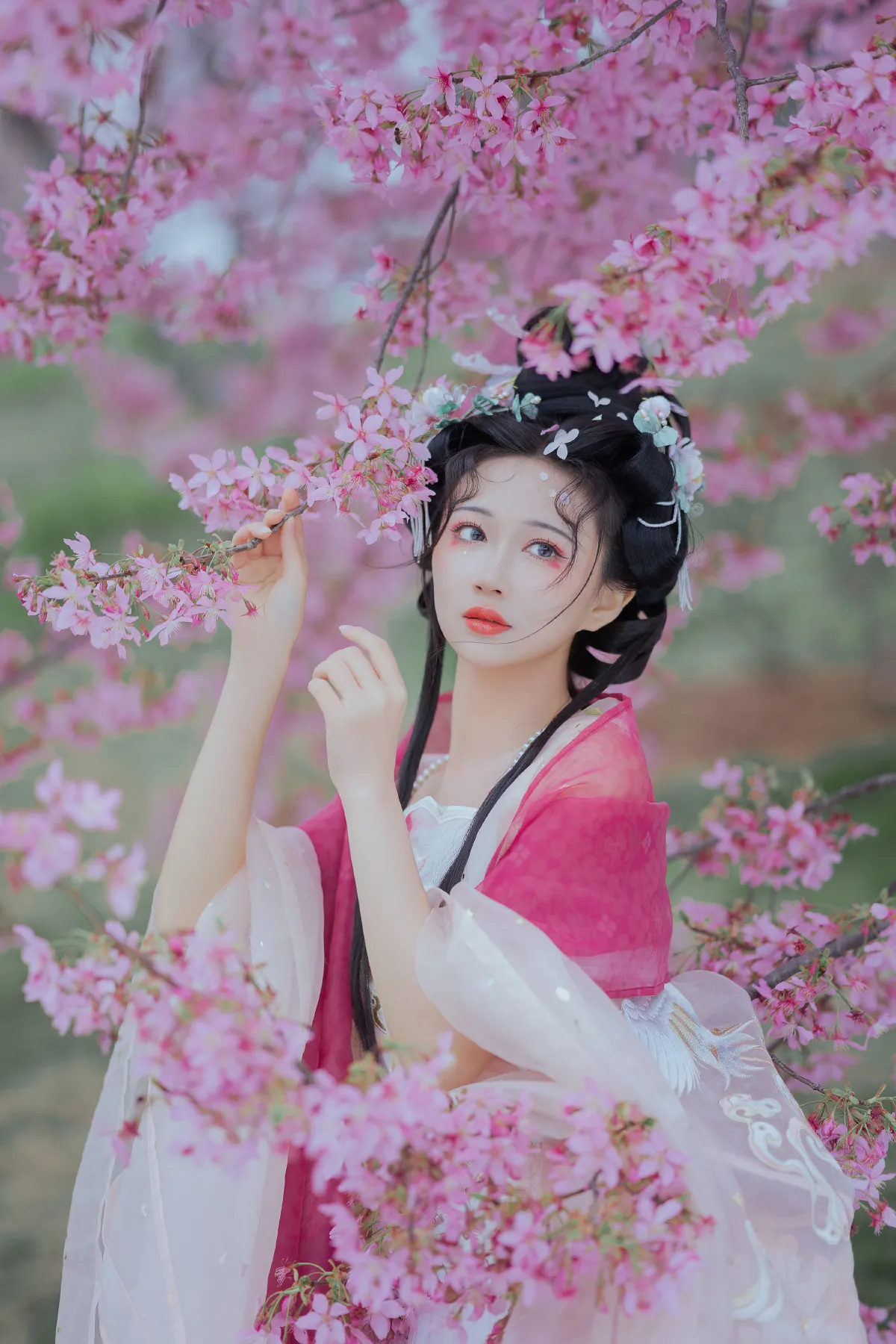 花间栩栩3