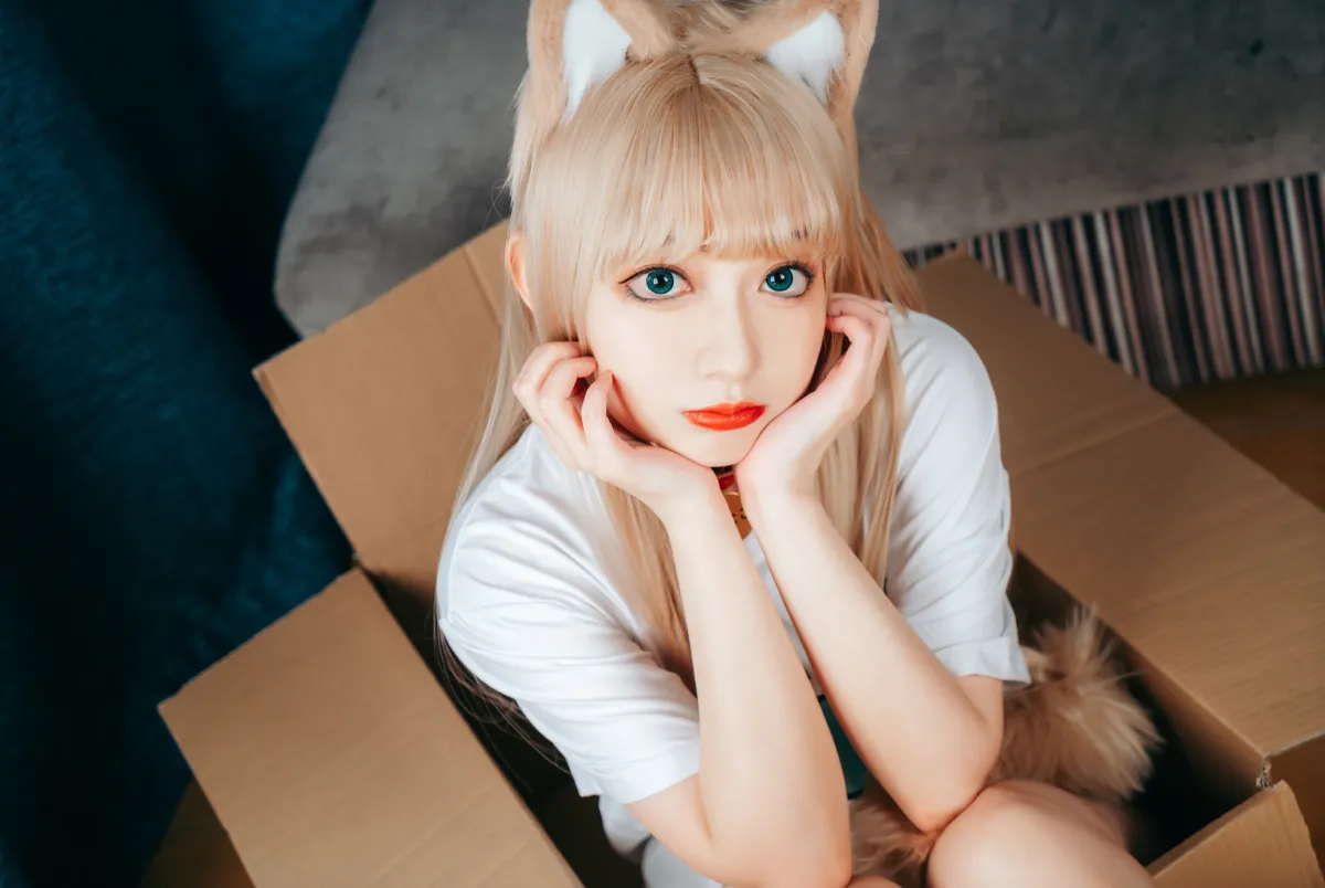 可爱的小猫咪1