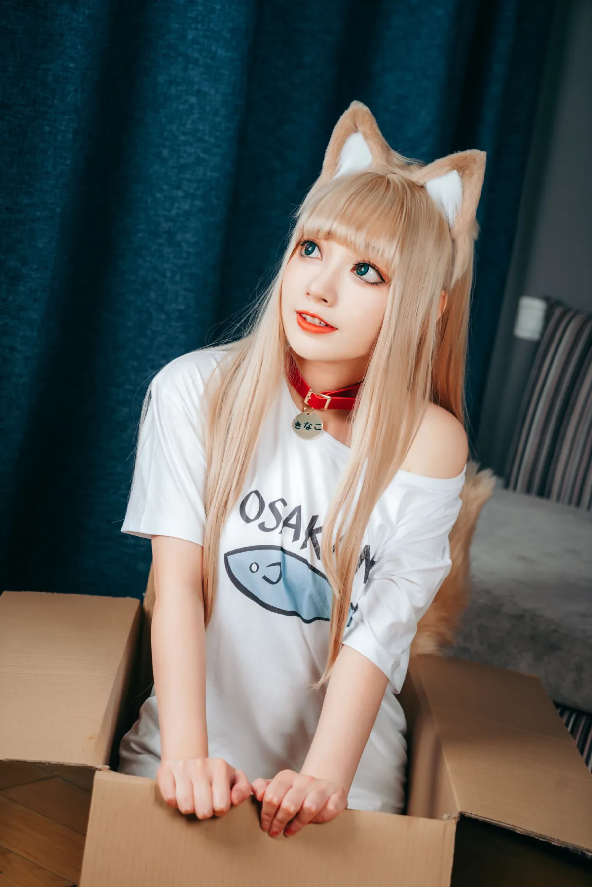 可爱的小猫咪2