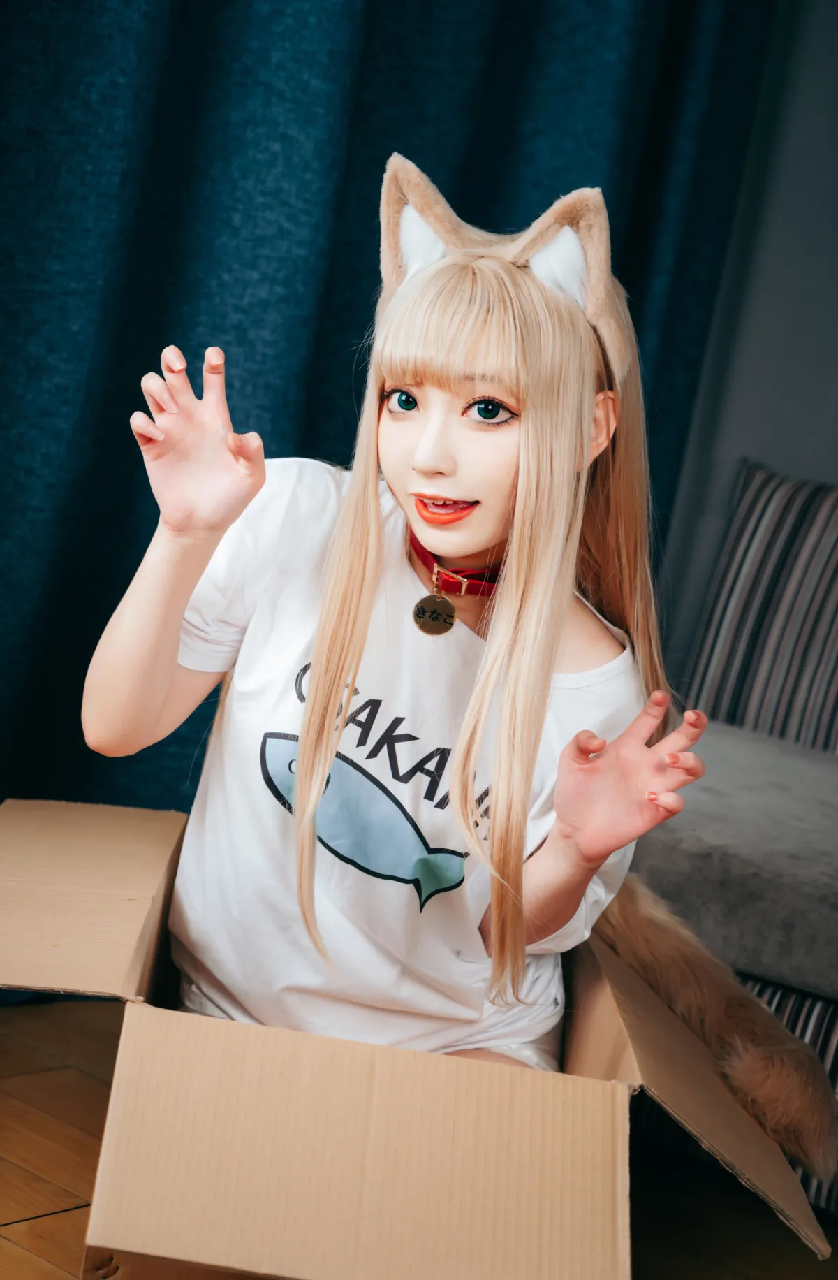 可爱的小猫咪3
