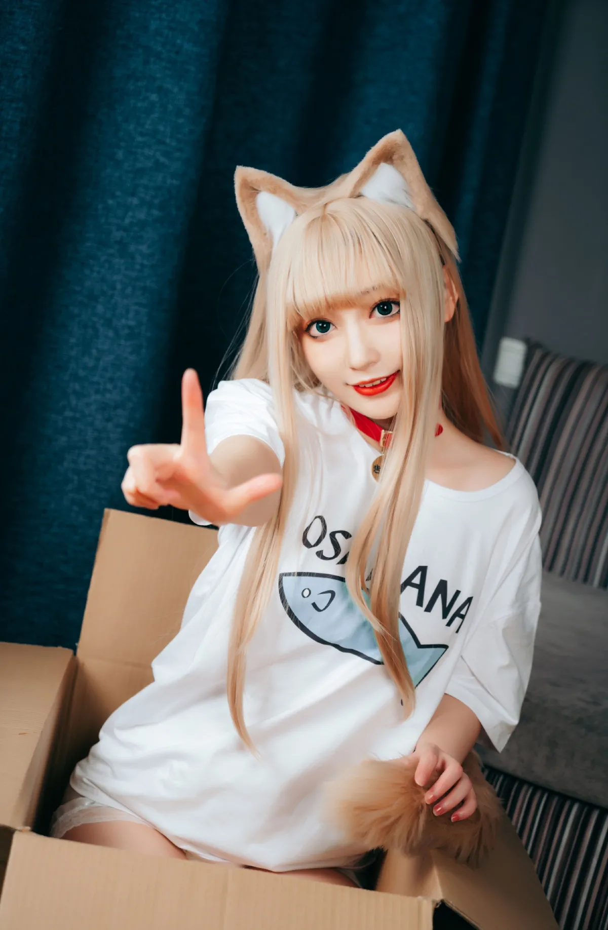 可爱的小猫咪4