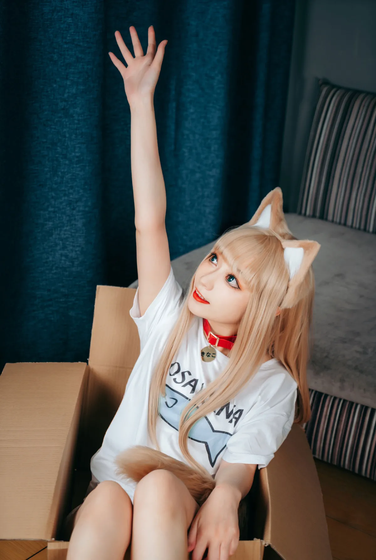 可爱的小猫咪5