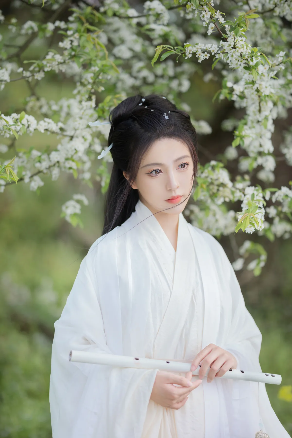 青绿花笺